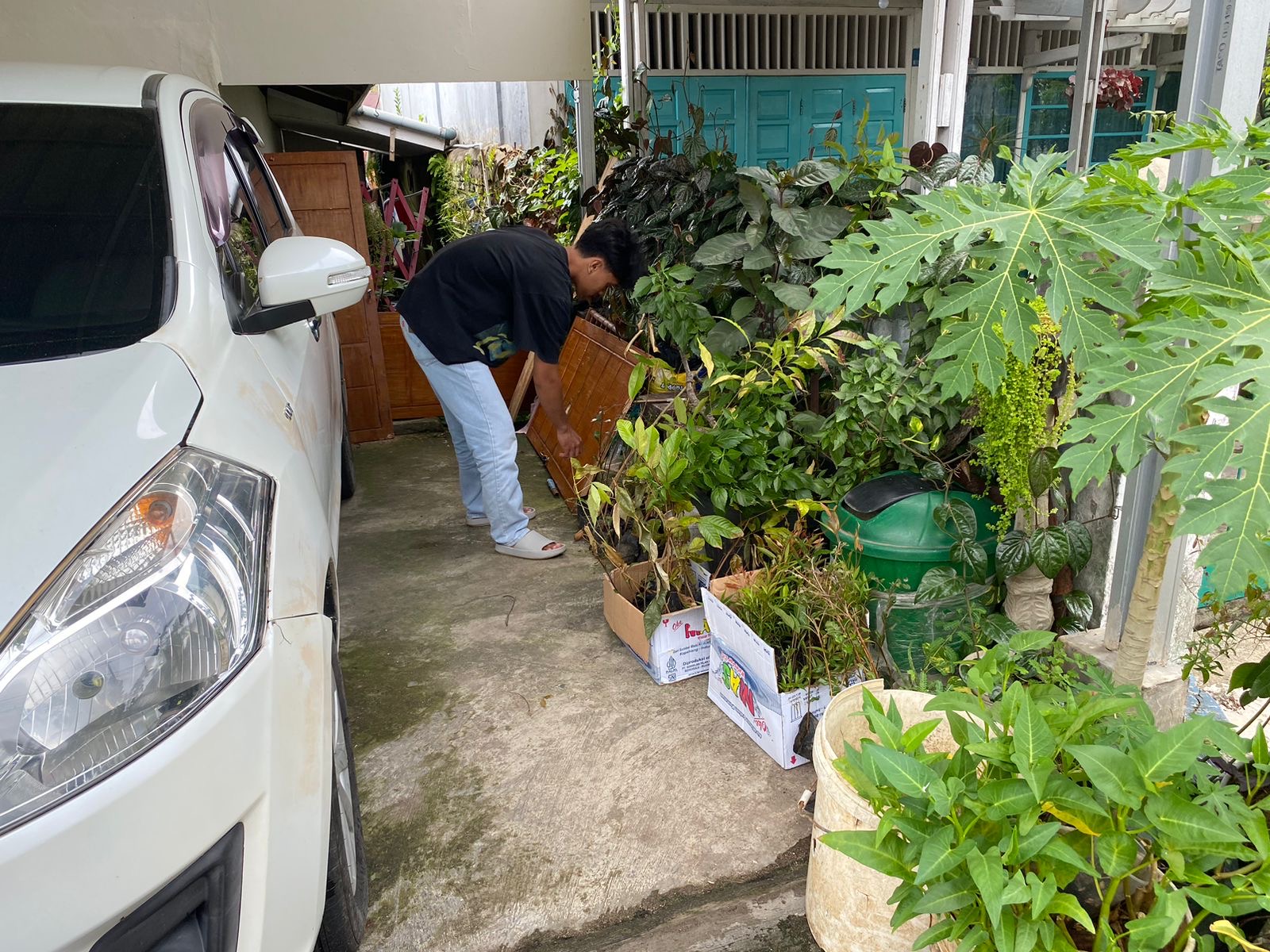 Peletakkan bibit di rumah pak RT.02 pintu batu