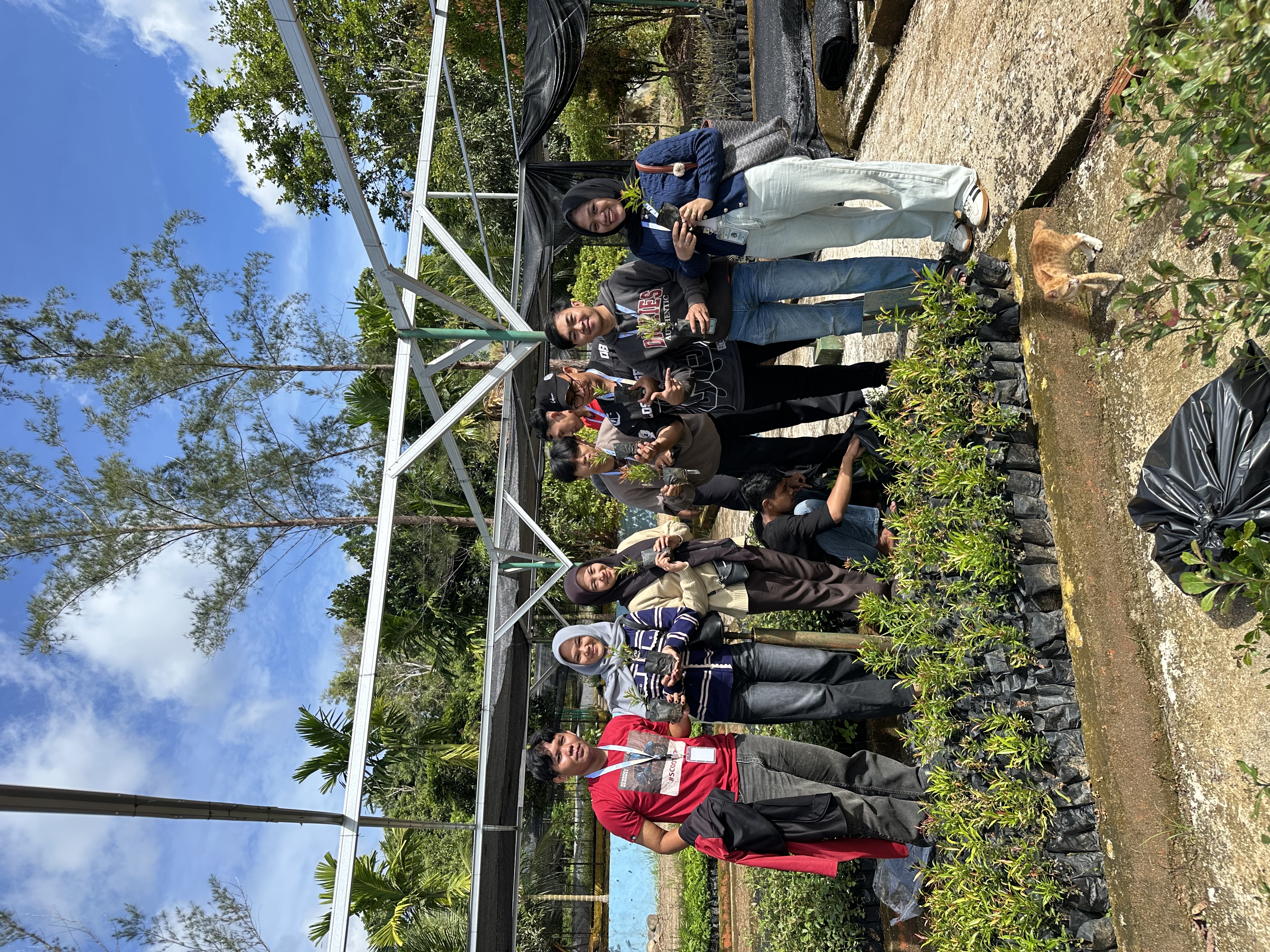 Pucuk merah yang akan di bagikan ke warga rt 10 rw 4