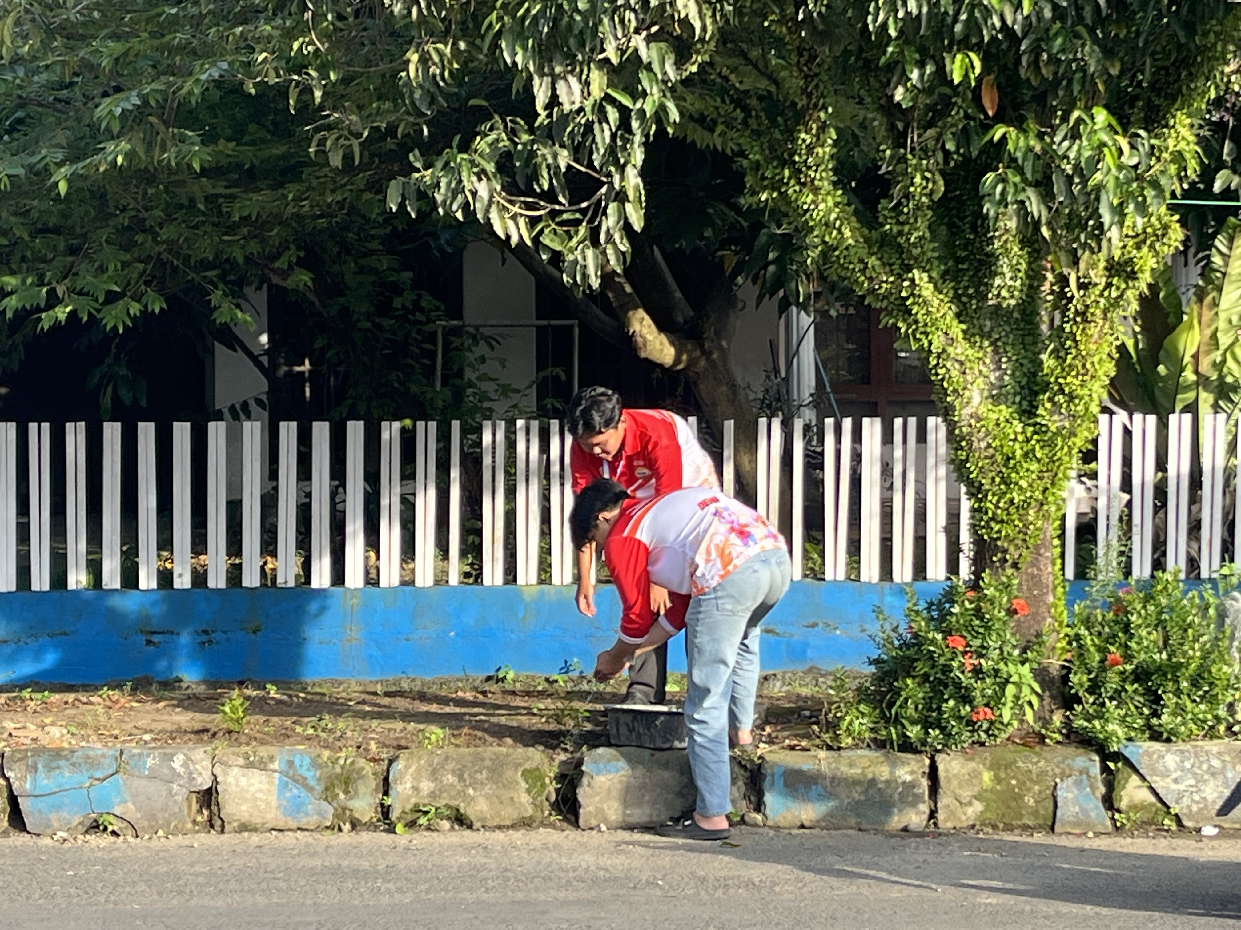 Menyiram bibit  yang sudah di tanam di jalan trotoar rt 10