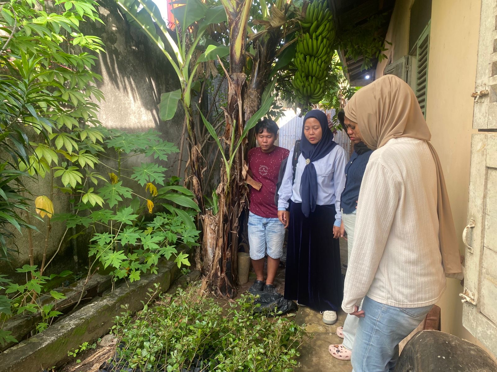 Mengecek bibit tanaman bunga di posko 45 bersama ibuk dpl