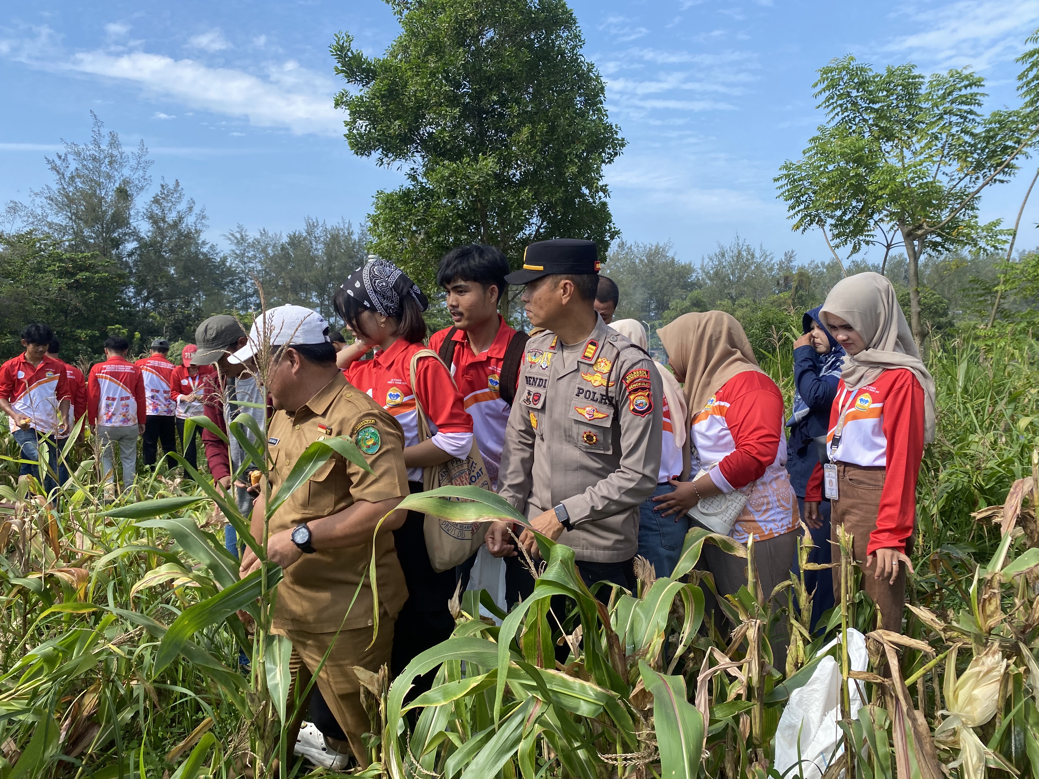Panen raya bersama kapolda dan pak lurah dan seluruh rt di penurunan beserta mahasiswa kkn yang ada di penurunan 