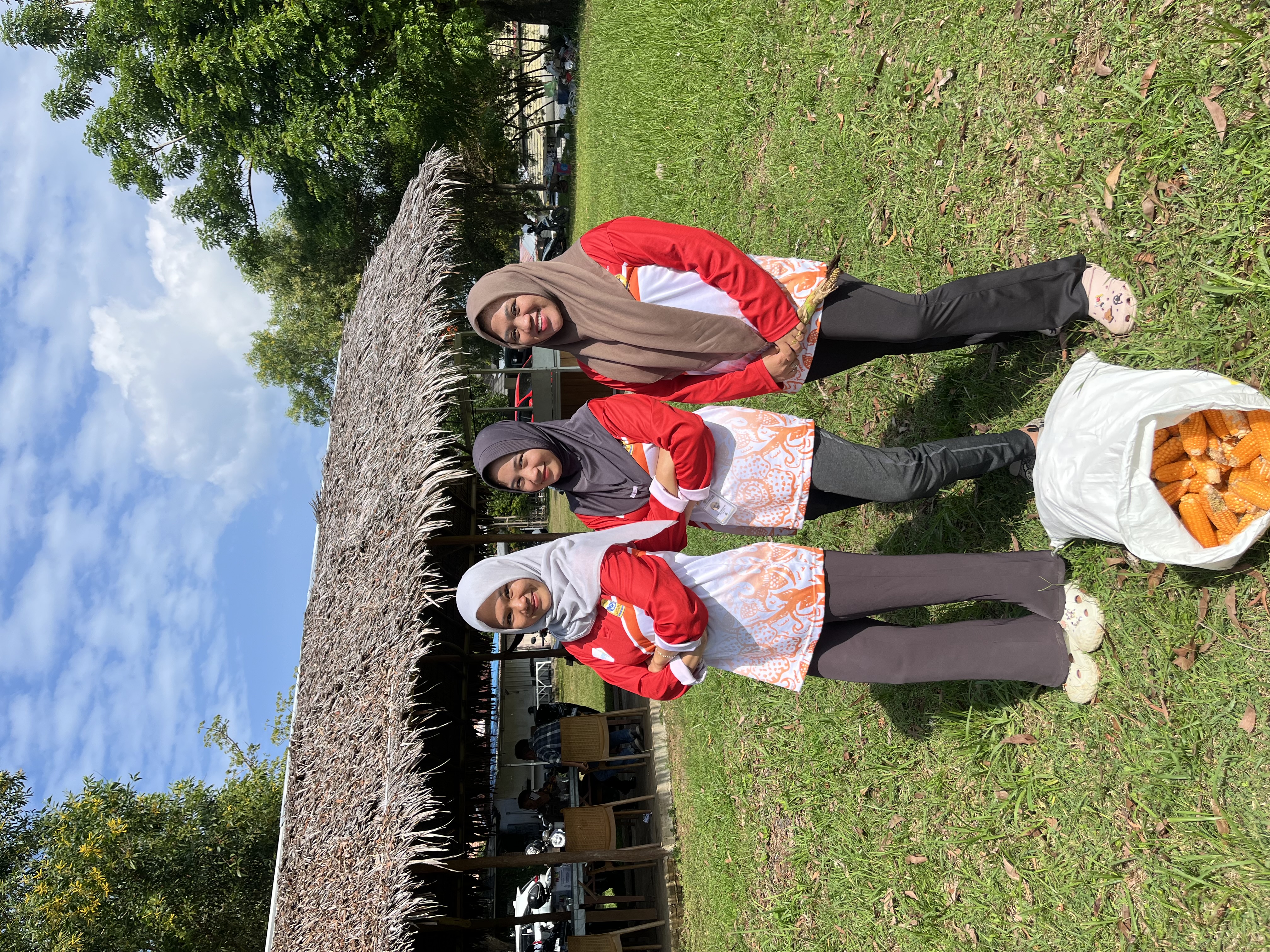 Hasil panen jagung di rt 7 kecamatan ratu samban