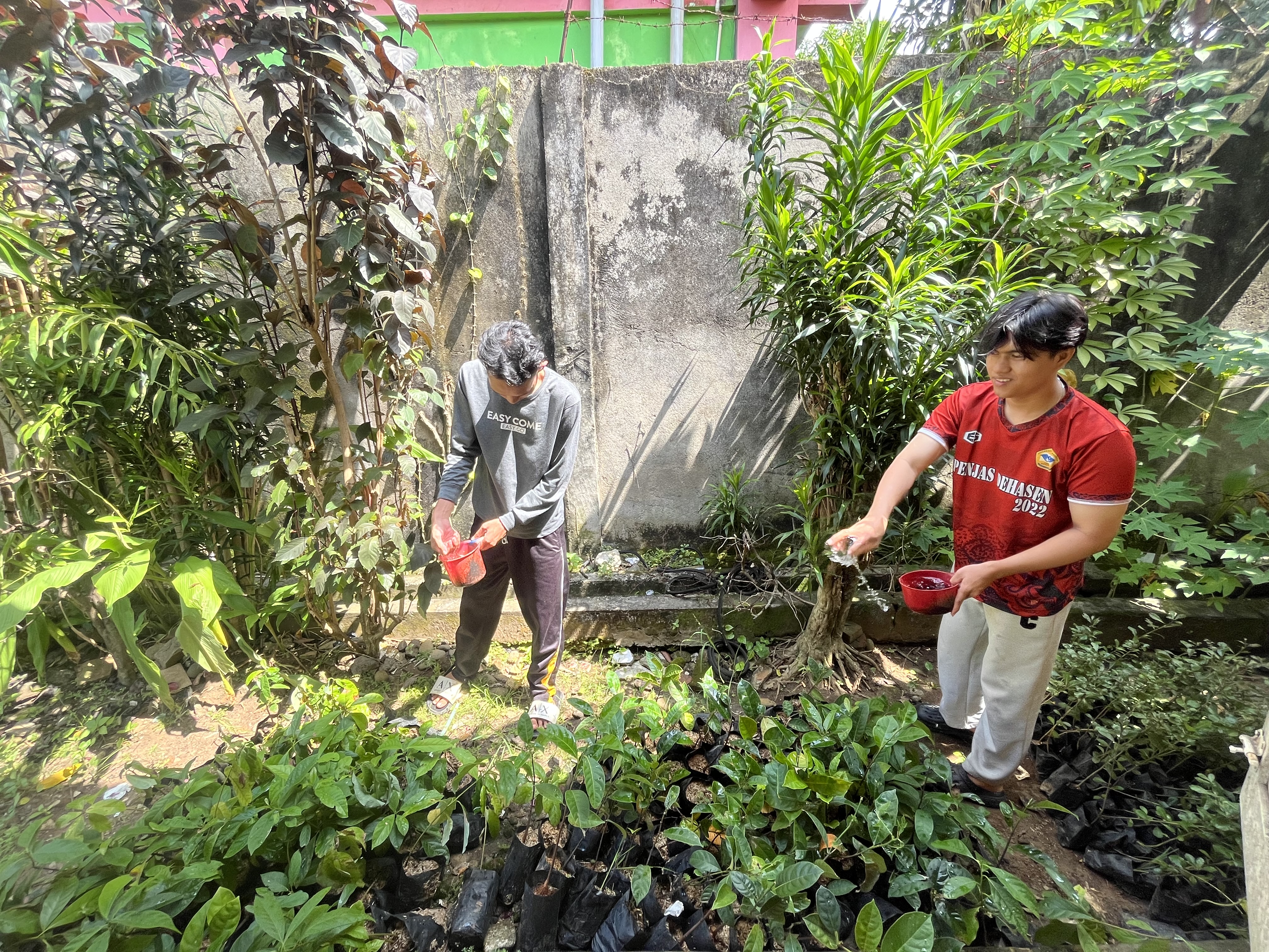 Merawat dan menyiram bibit bungan buat taman di lempuing