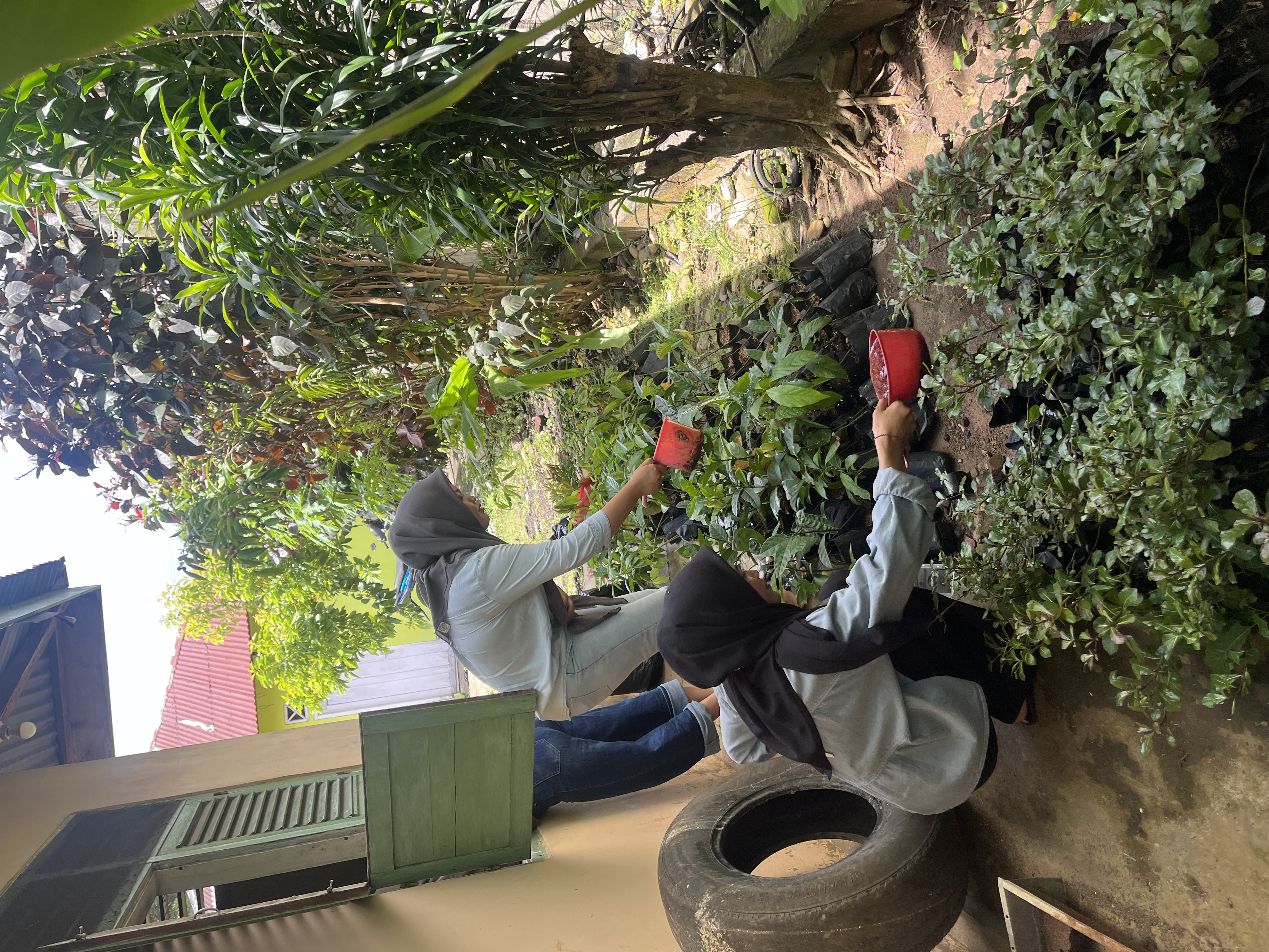 penyiraman bibit dari kelompok 04