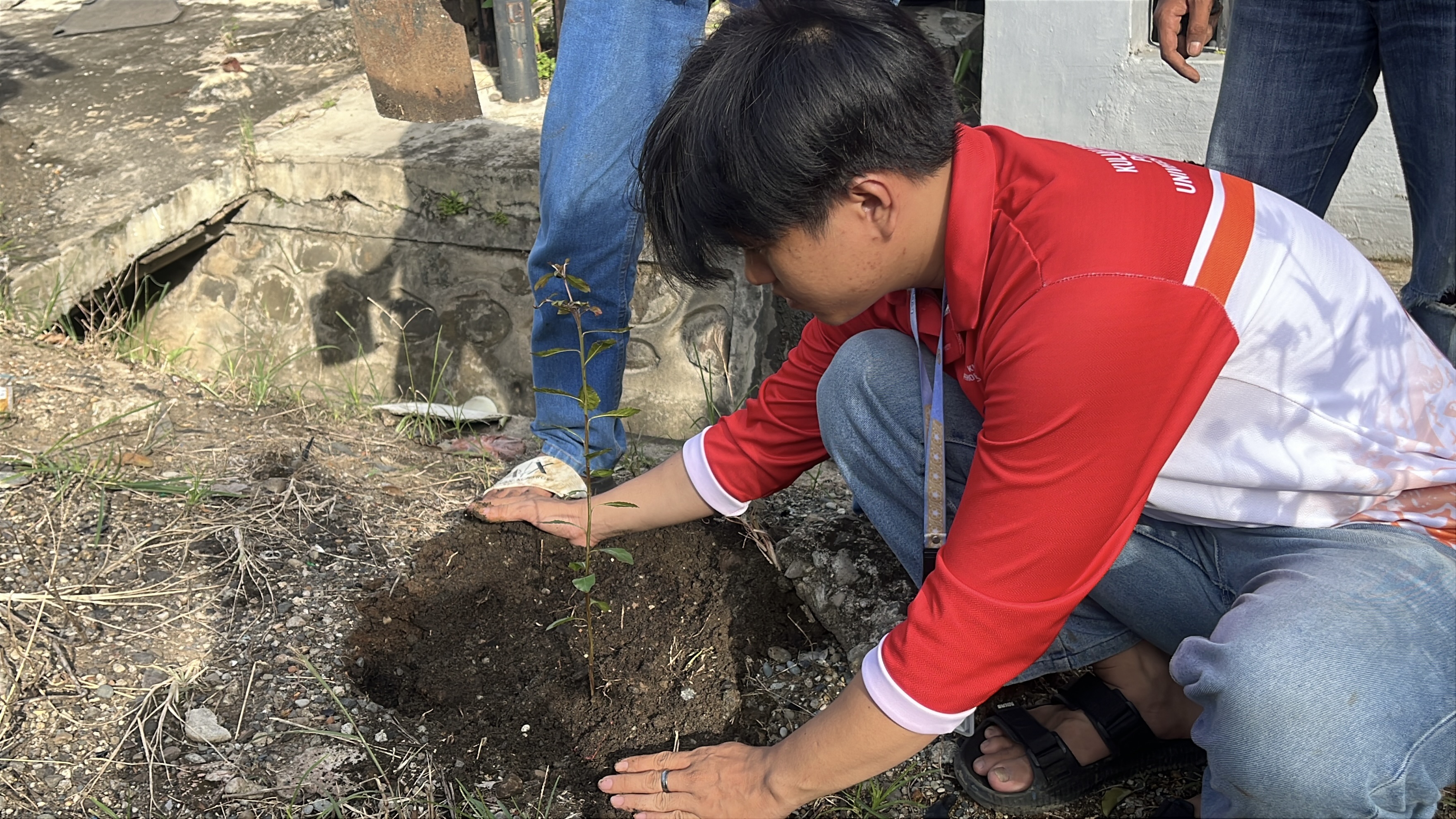 Menanam bibit di samping rumah ibuk rt