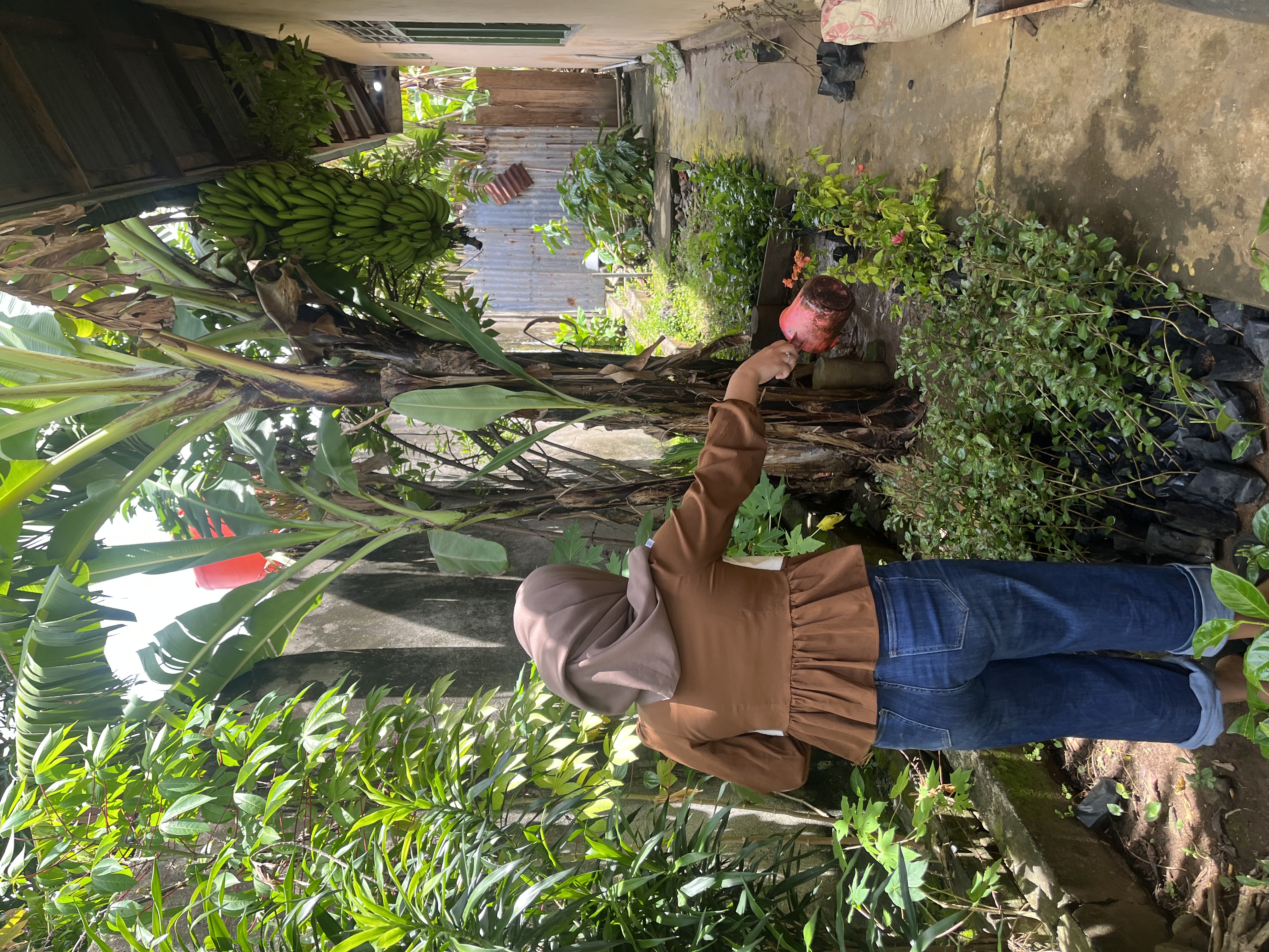 Menyiram bibit bunga di sore hari