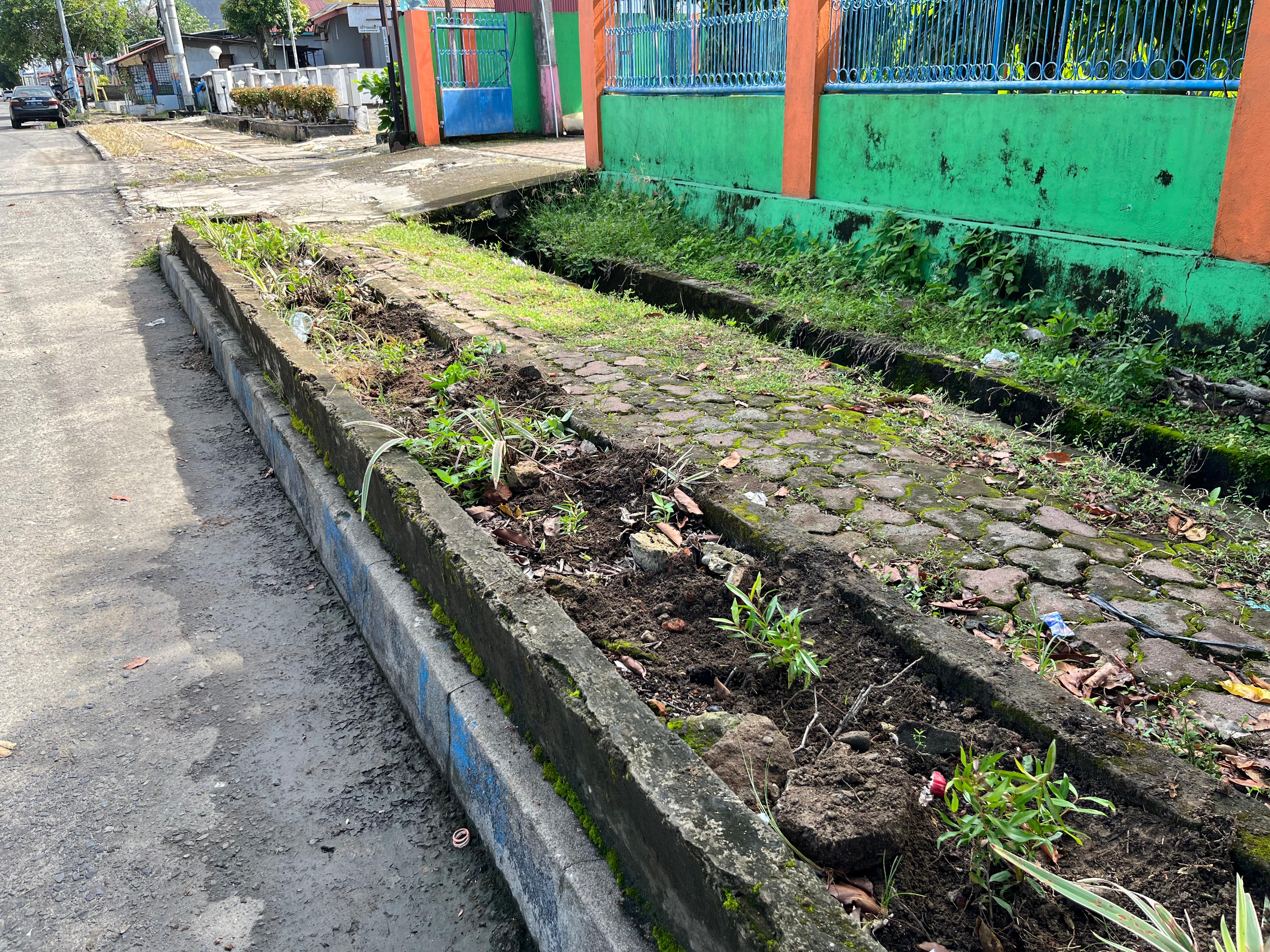 Hasil menanam bibit bunga di trotoar jalan rt 10 rw 4 penurunan 