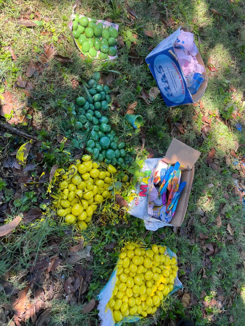 Hasil pengecatan batu buat taman di lempuing 