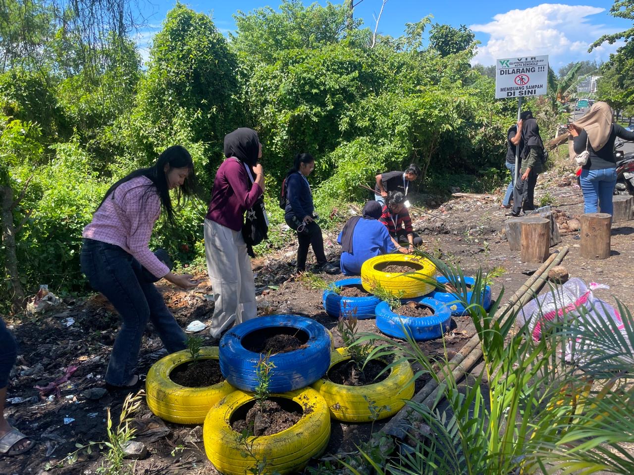 Proses menanam bibit bunga di ban bekas 