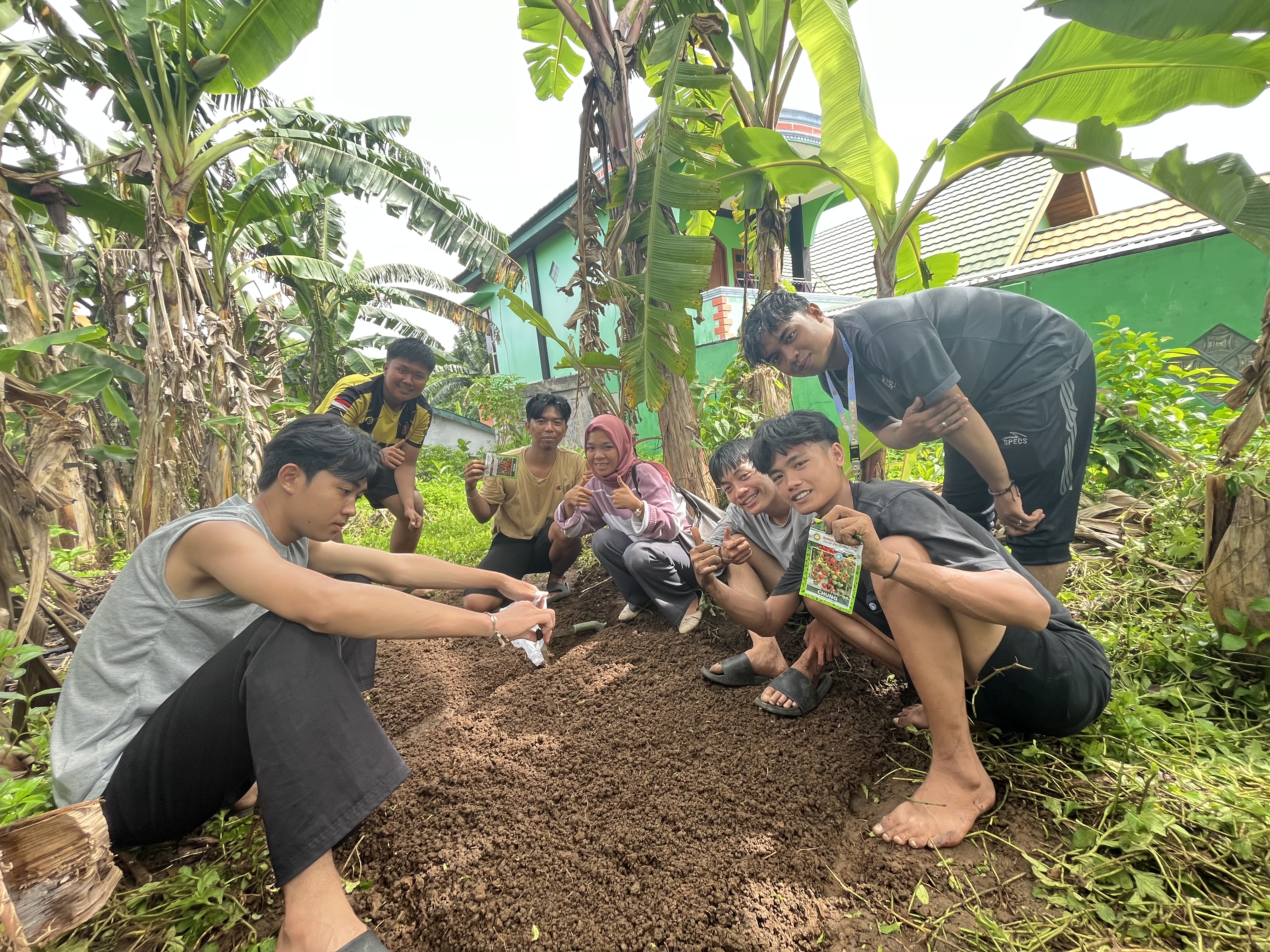 Pembersihan lahan cabe dan penyemayan cabe kelompok 55 RT 05 RW 02 Anggut bawah