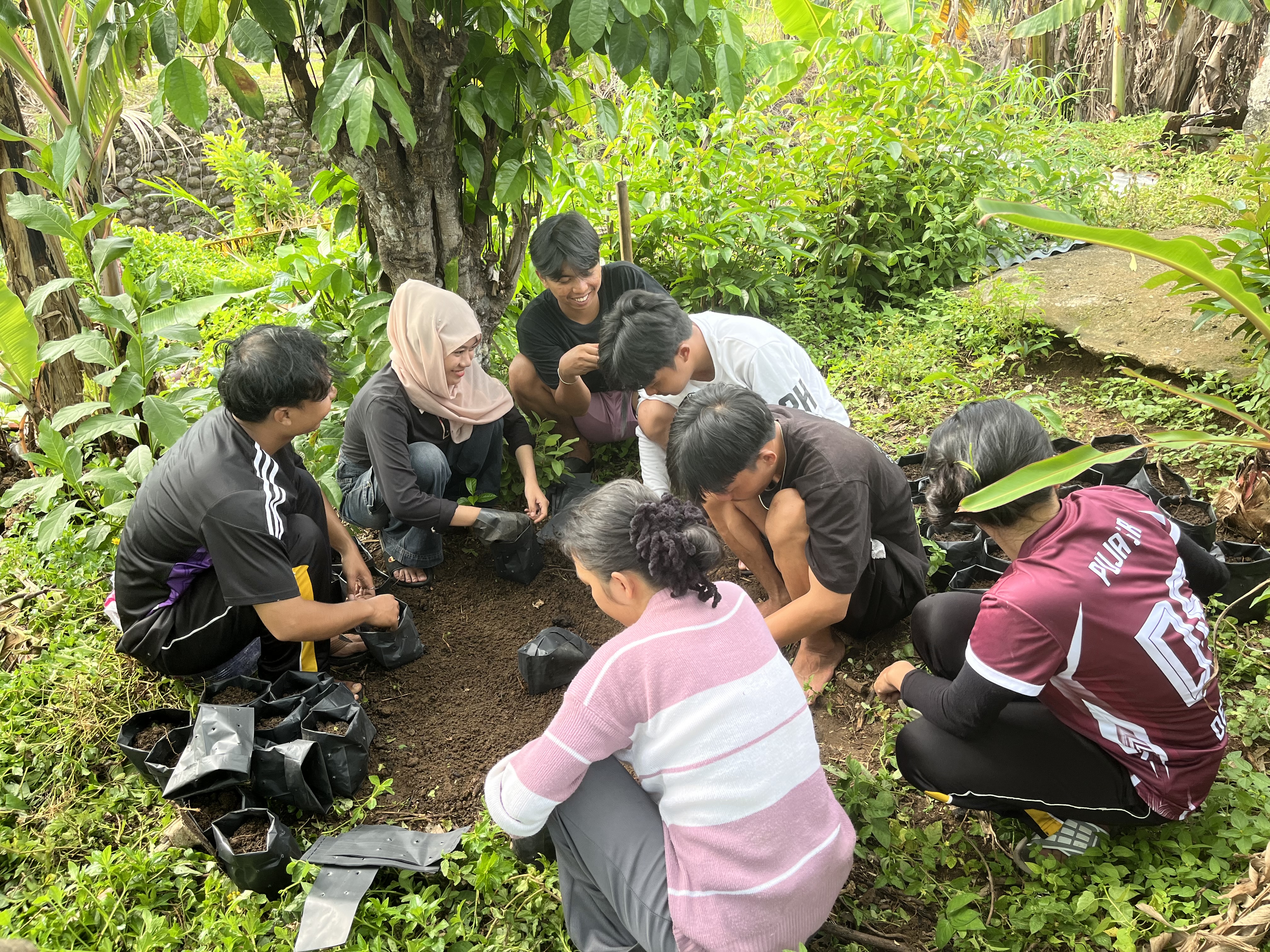 Pengisiaan polibek untuk penanaman cabe