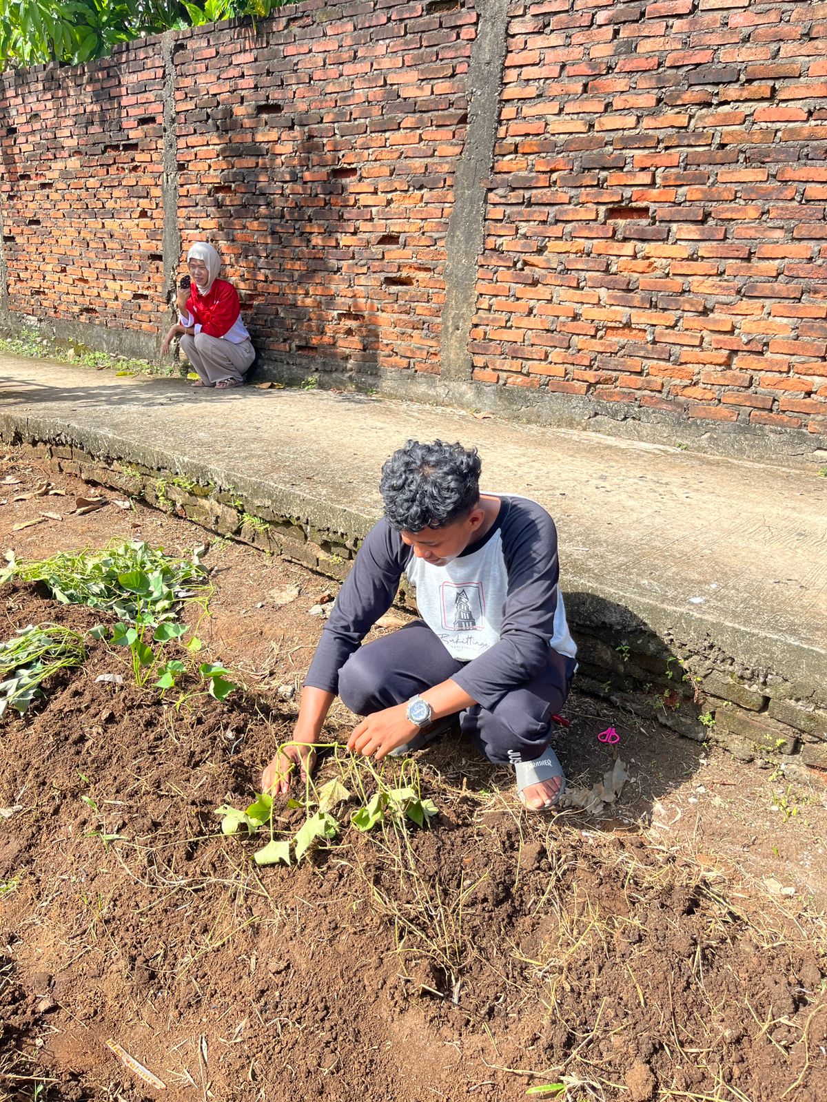 Menanam Bibit Sayuran di Lahan Warga Yang Terbengkalai.