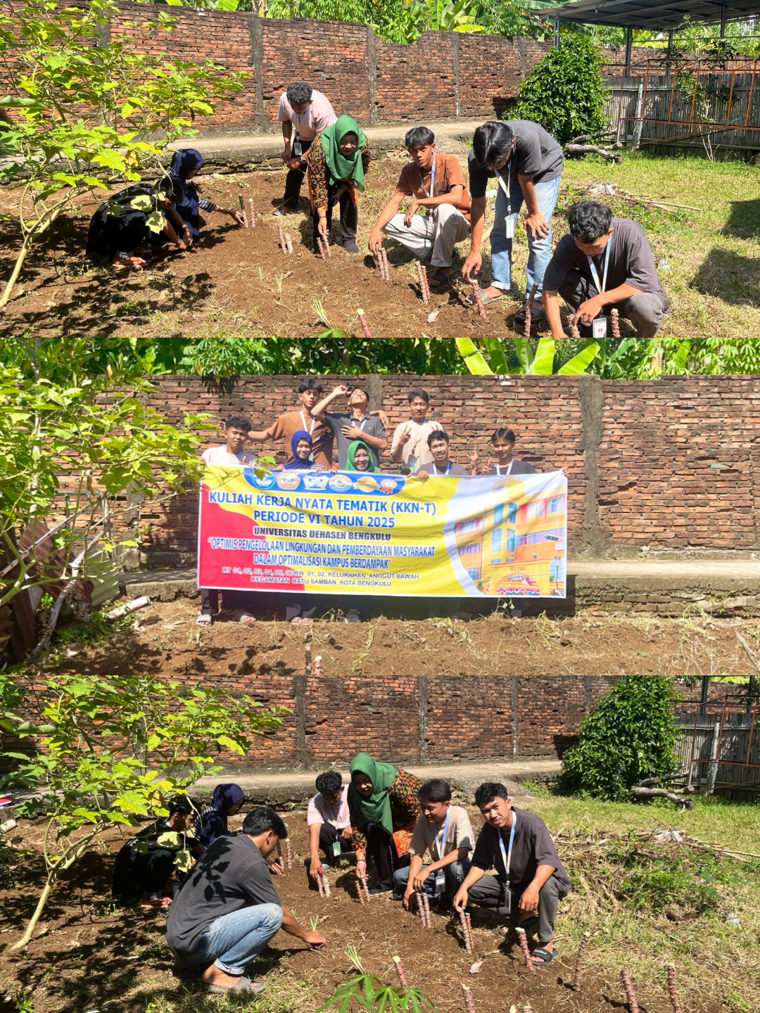 Menanam Bibit Sayuran di‎Halaman warga yang tebangkalai Tahap ke 2 Bersama Ibu DPL.