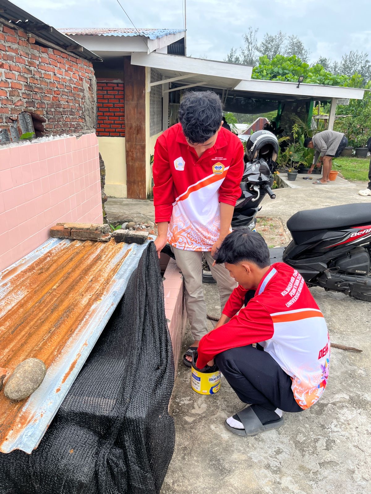 Pemberian Pakan Ikan Lele pada Budidaya Kolam Tidak Terpakai.