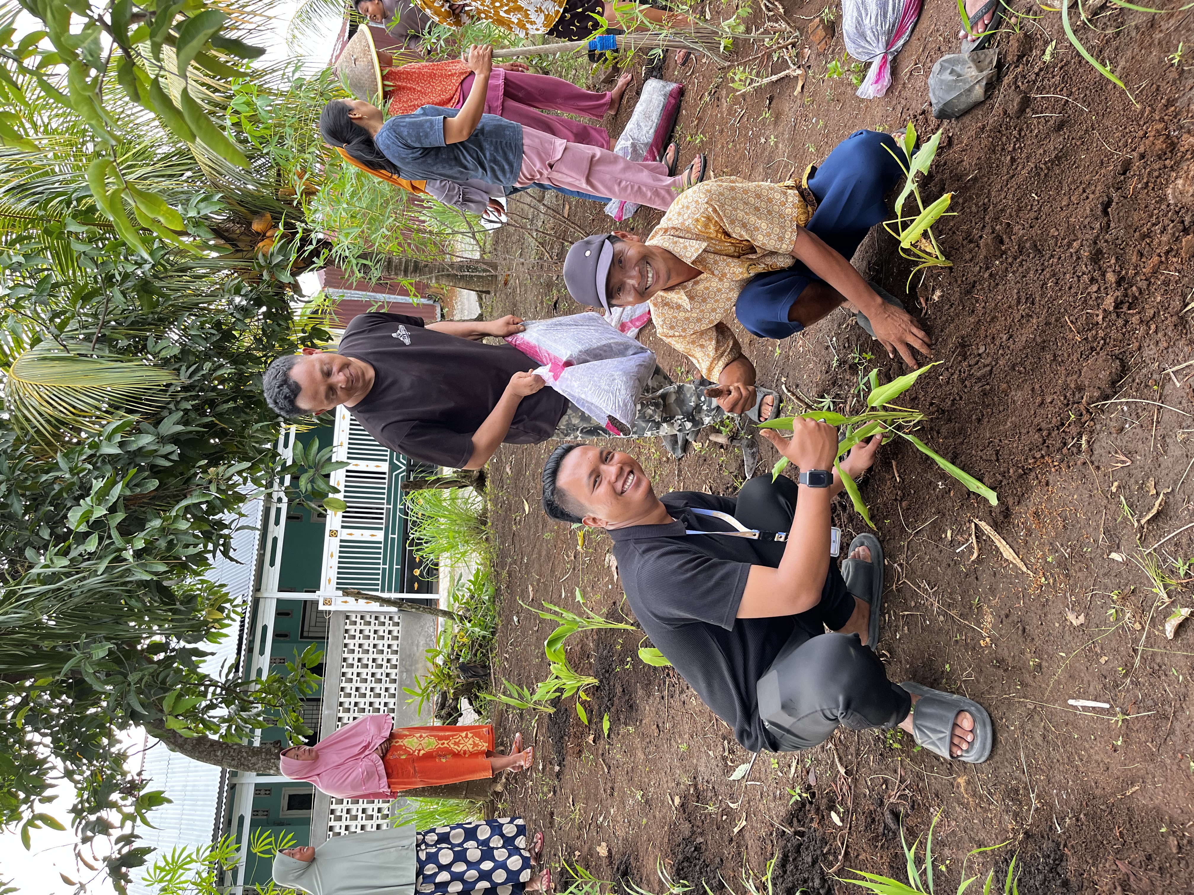 Tahap Awal Penanaman Bibit Toga