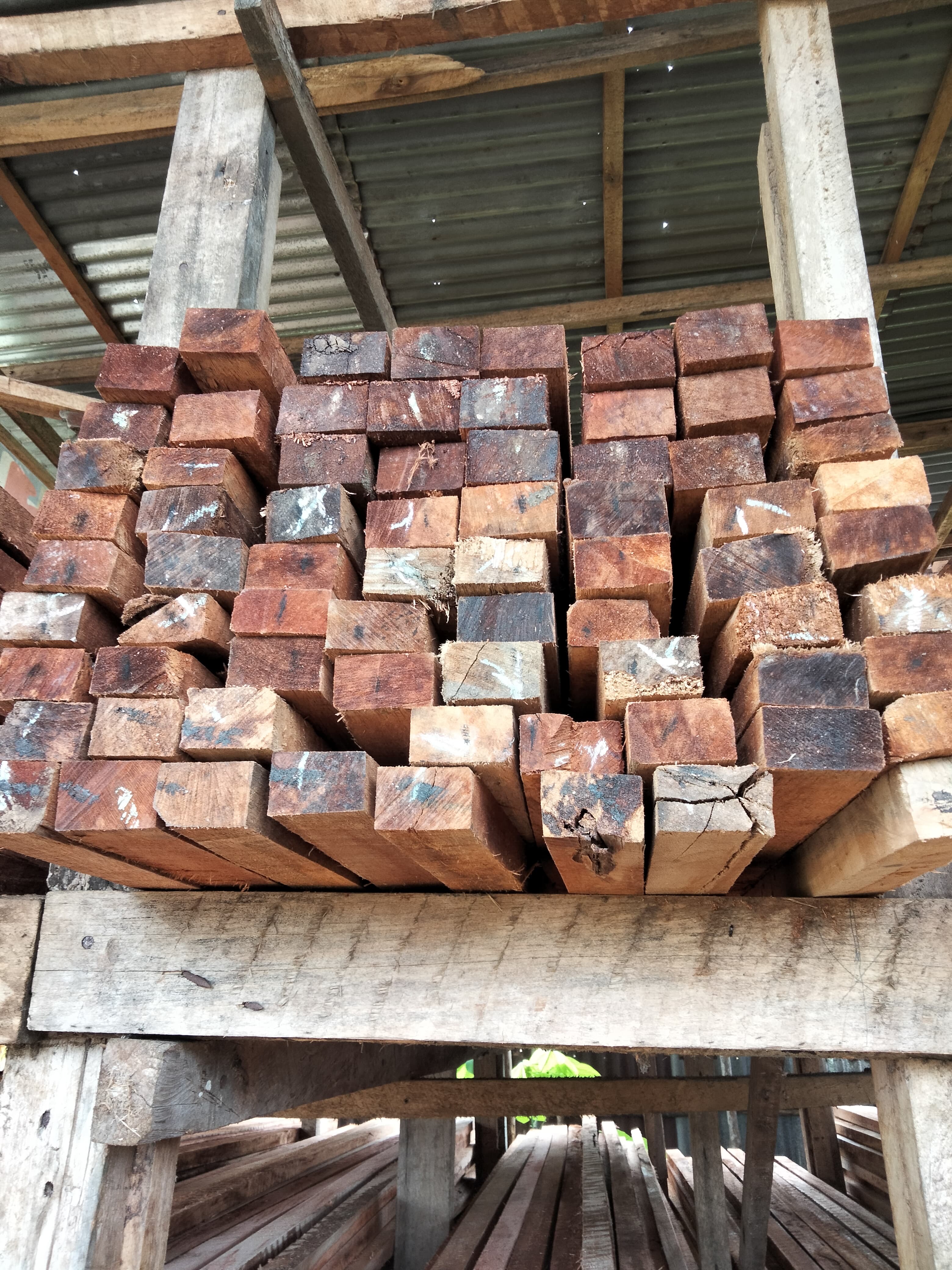 Belanja keperluan Proker utama kkn 