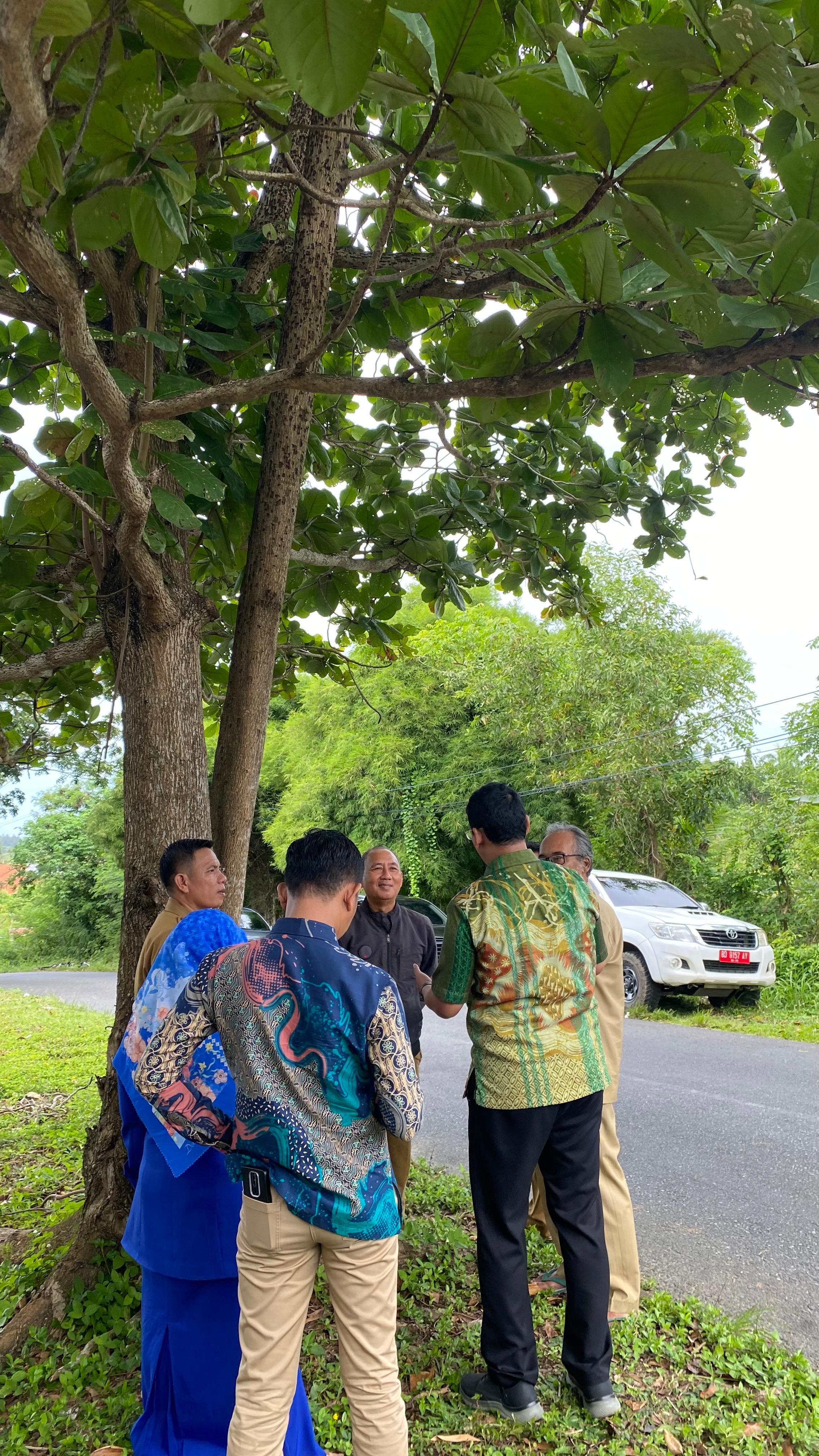 pengecekan taman lempuing 