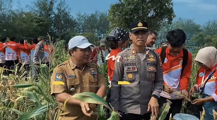 Kegiatan Offline : Wawancara Camat dan Polisi