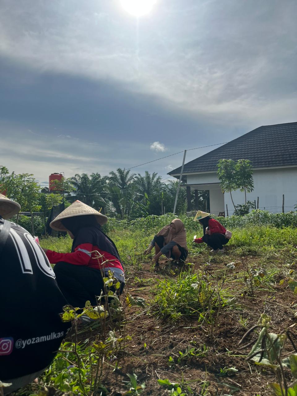 GOTONG ROYONG MEMBERSIHKAN LAHAN BERSAMA IBU- IBU PKK KELURAHAN BETUNGAN