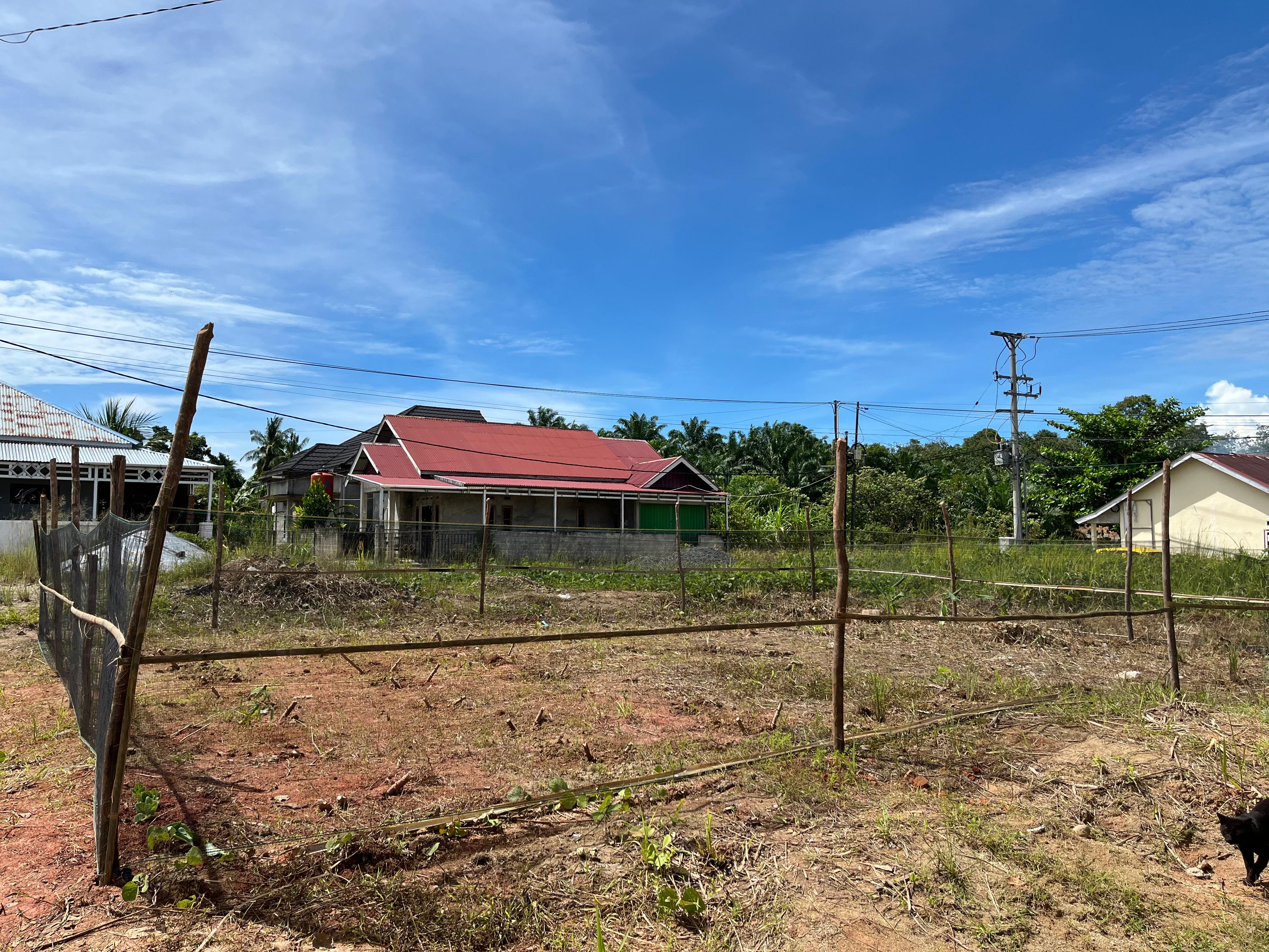 Melanjutkan penanaman 