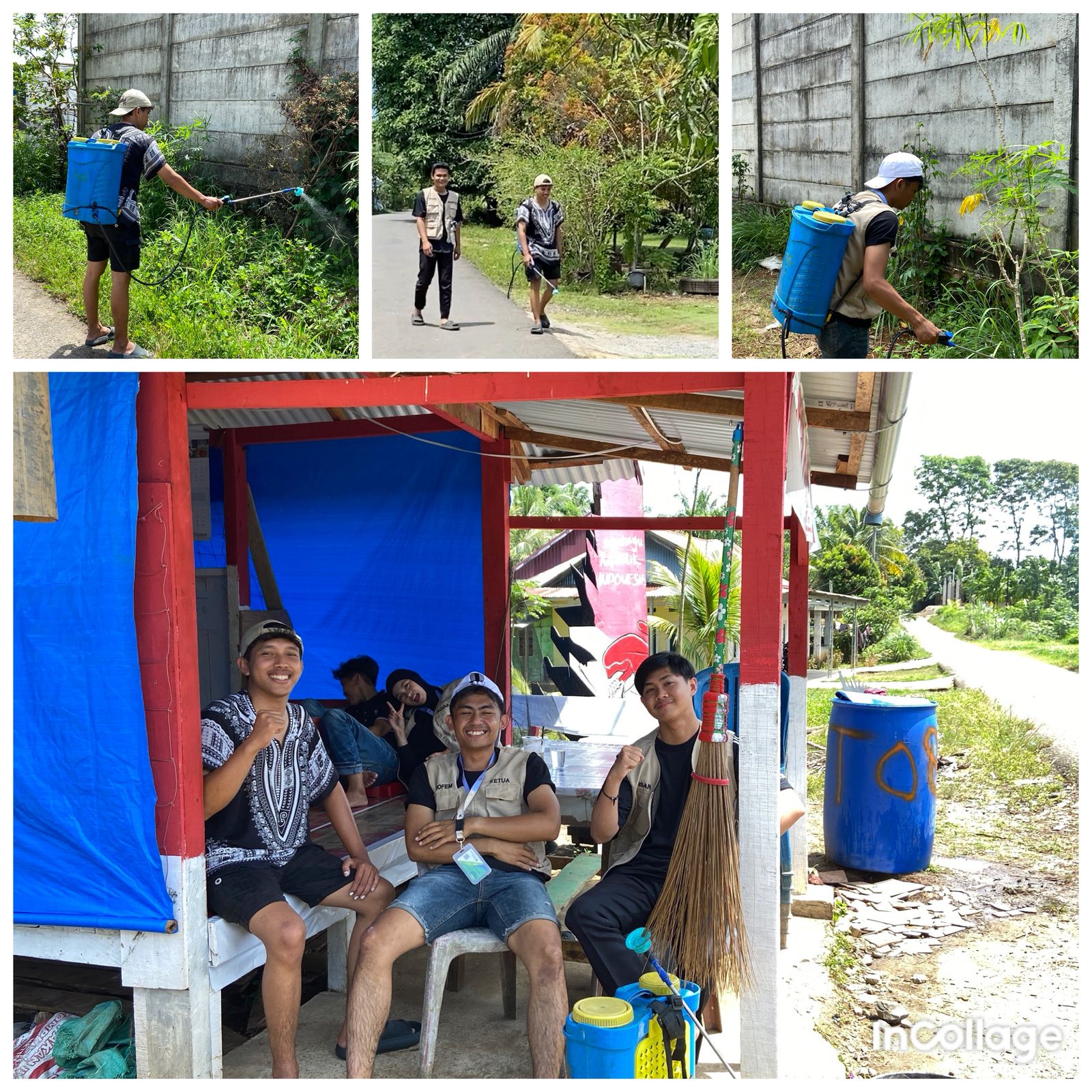 Proses menyemprot rumput dengan racun untuk di jadikan tempat tanaman toga