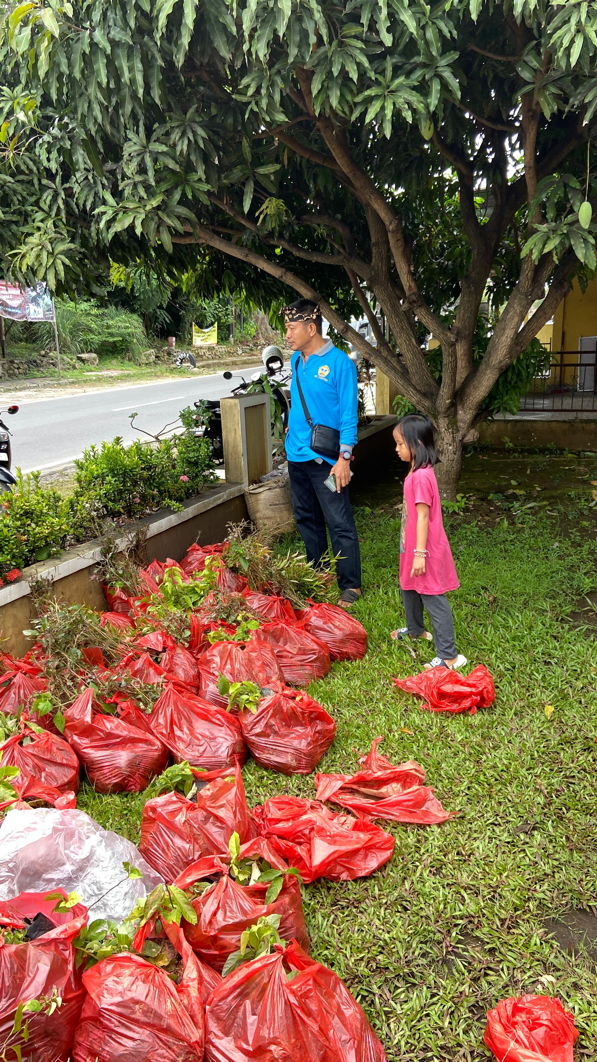 Pengambilan bibit untuk warga