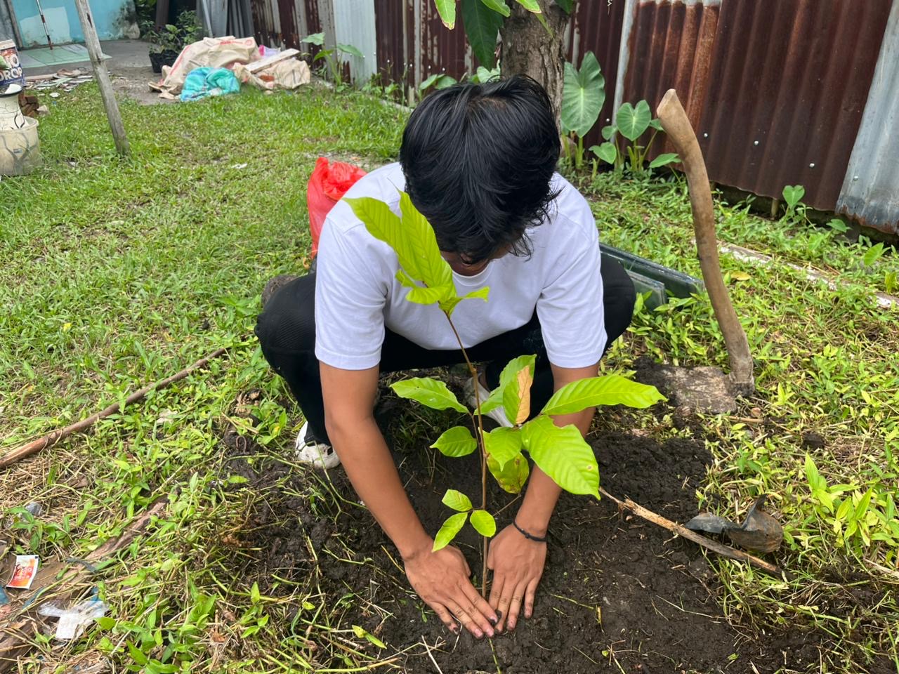Penanaman bibit tanaman di halaman warga 