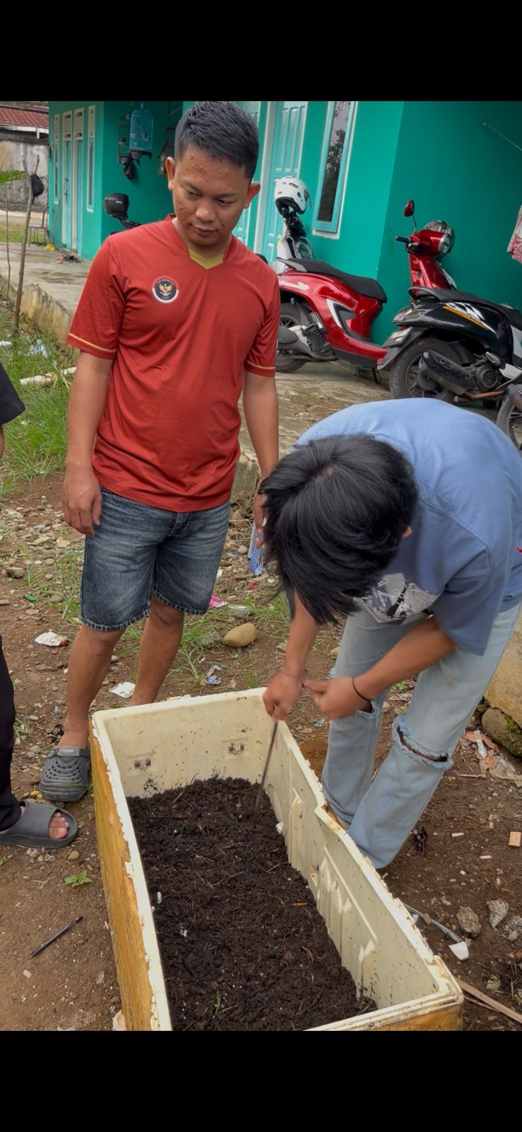 Menyemai bibit cabe bersama kelompok 29 