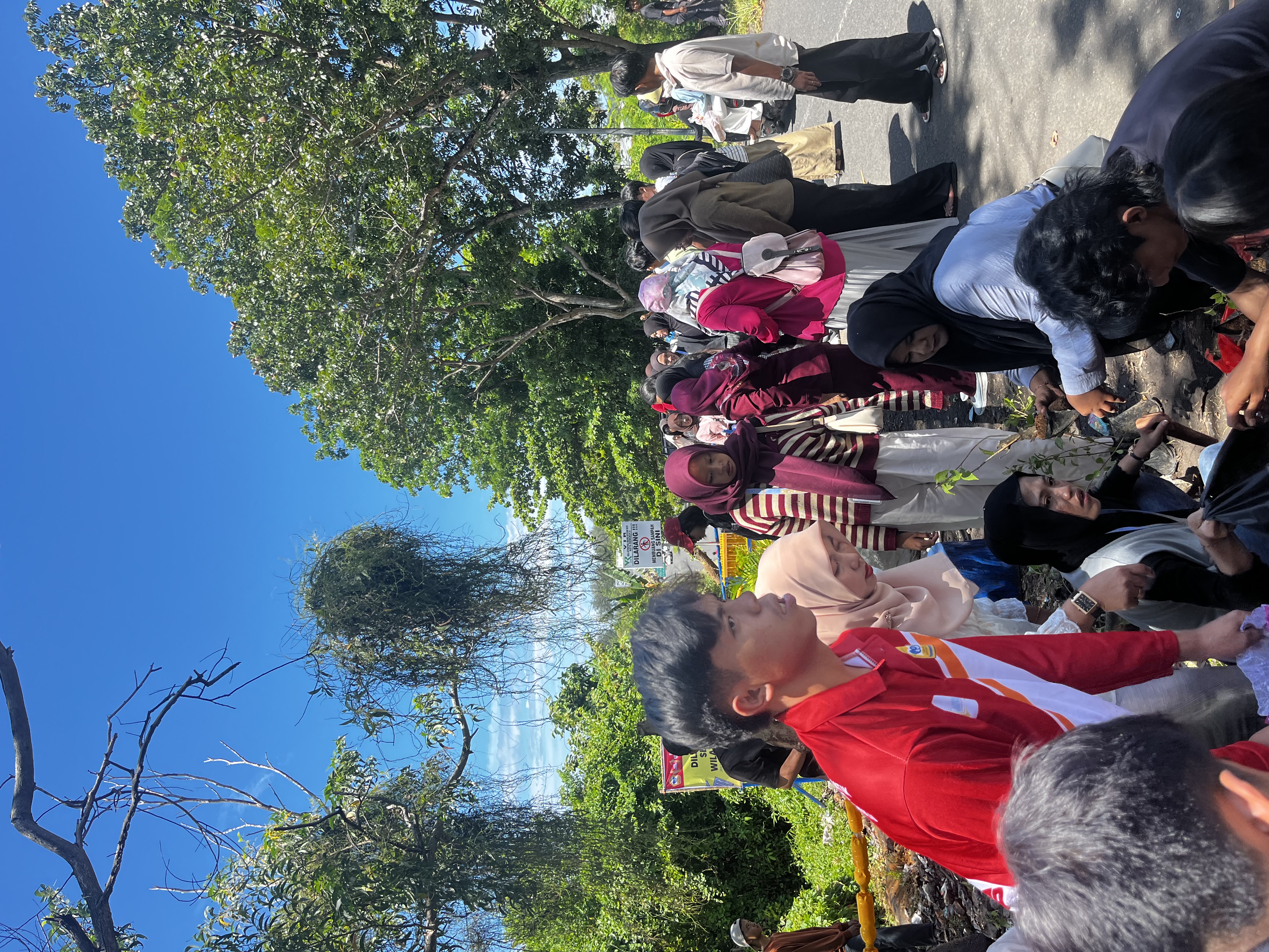 Proses penanaman taman di lempuing 