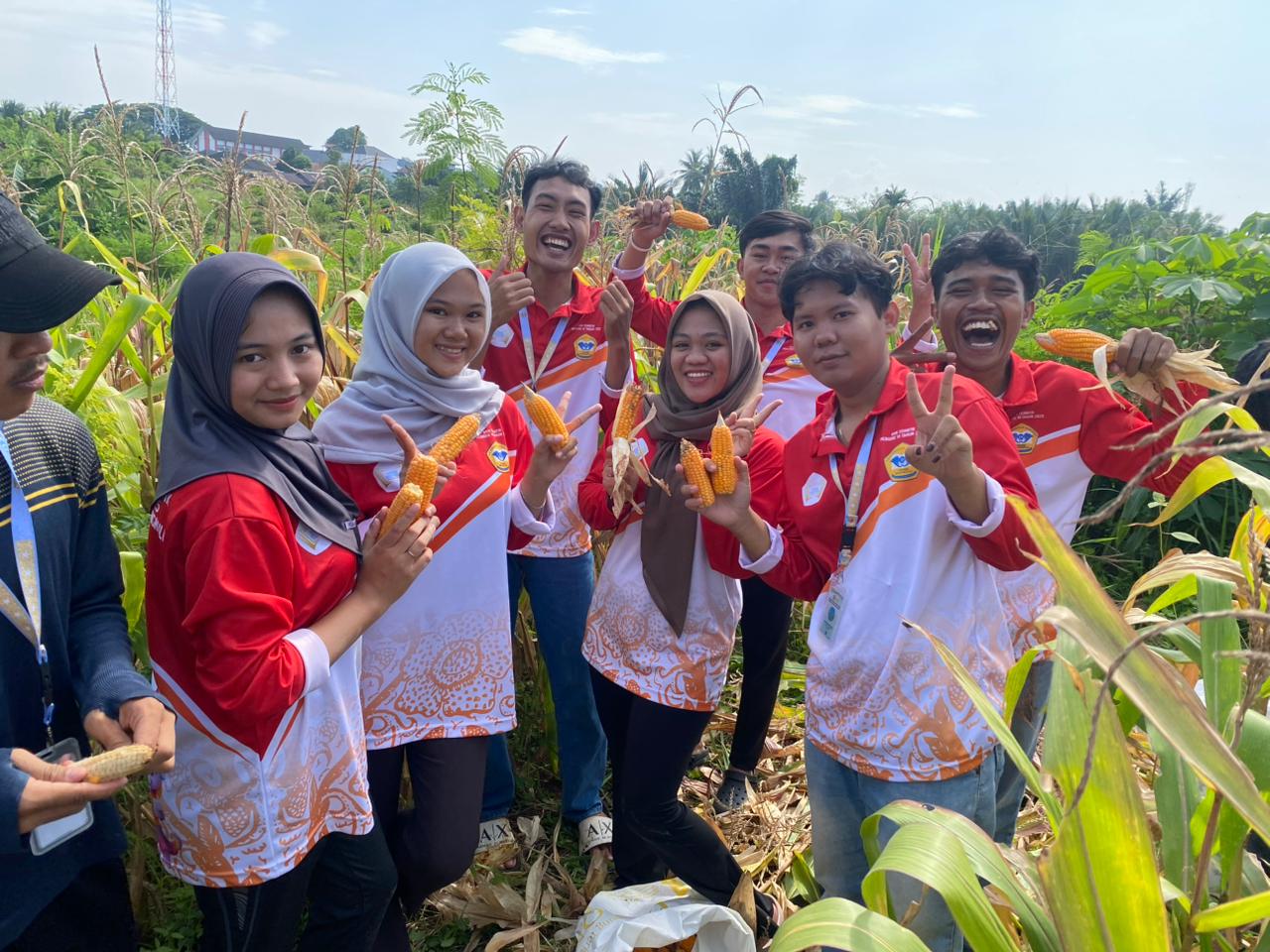 Panen jagung bersama di kelurahan penurunan RT  7