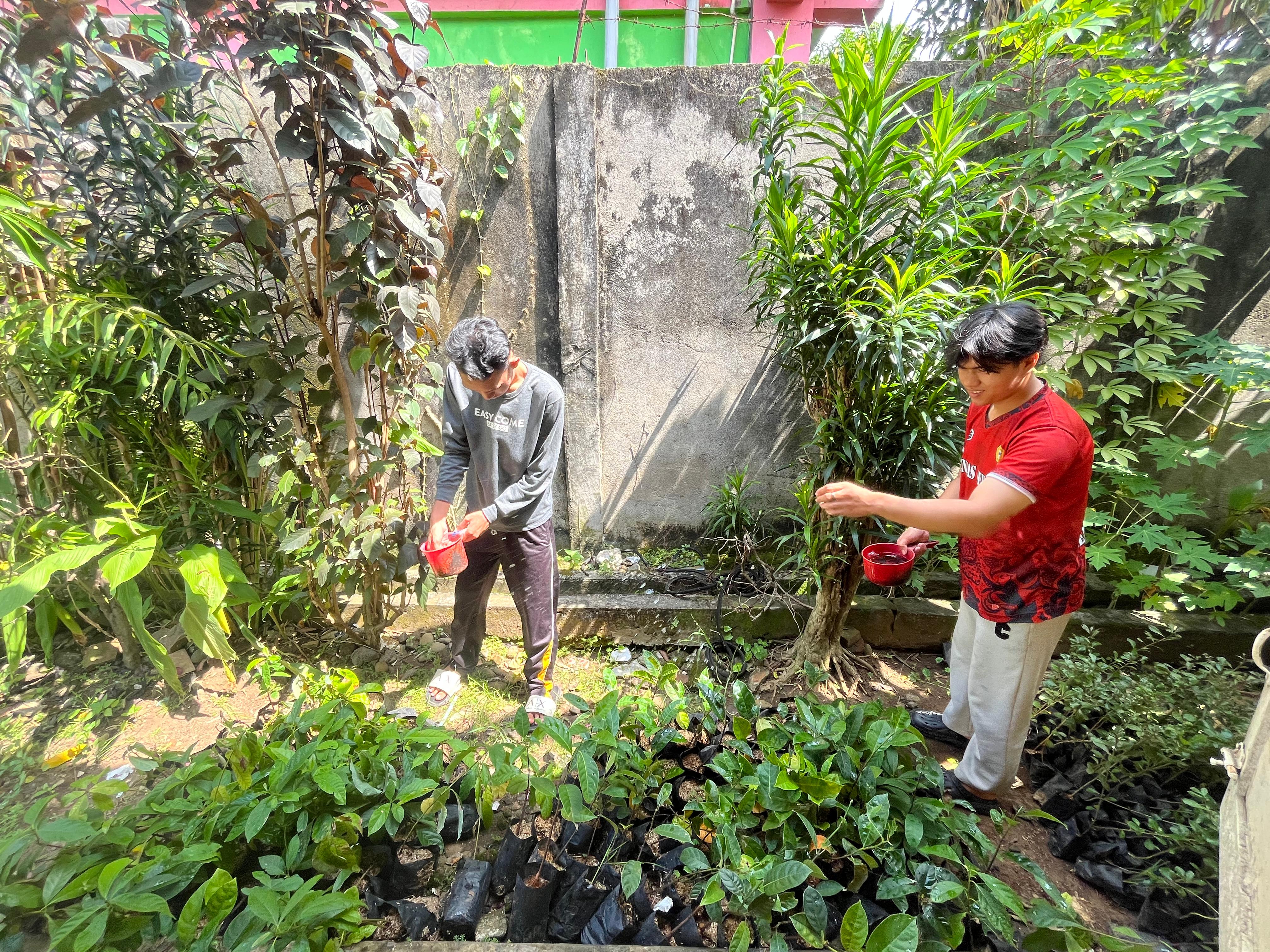 Penyiraman rutin tanaman pagi hari