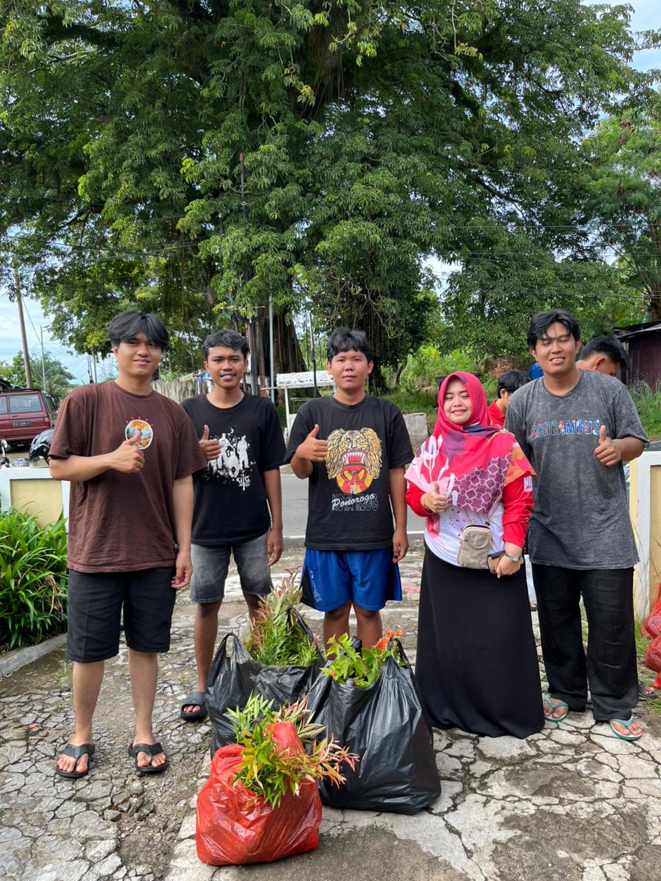 Penurunan bibit tanaman dari kaur untuk program walikota 