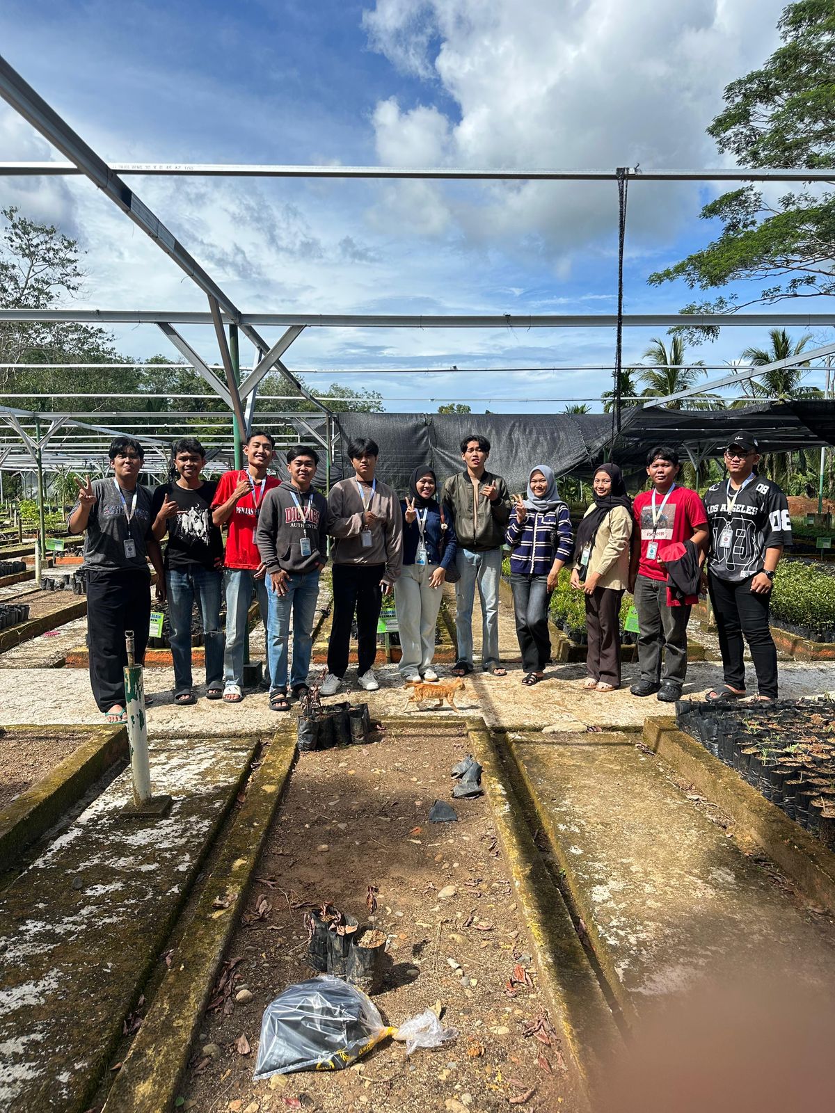 pengambilan bibit tanaman bunga di hutan rajo lelo bengkulu tengah