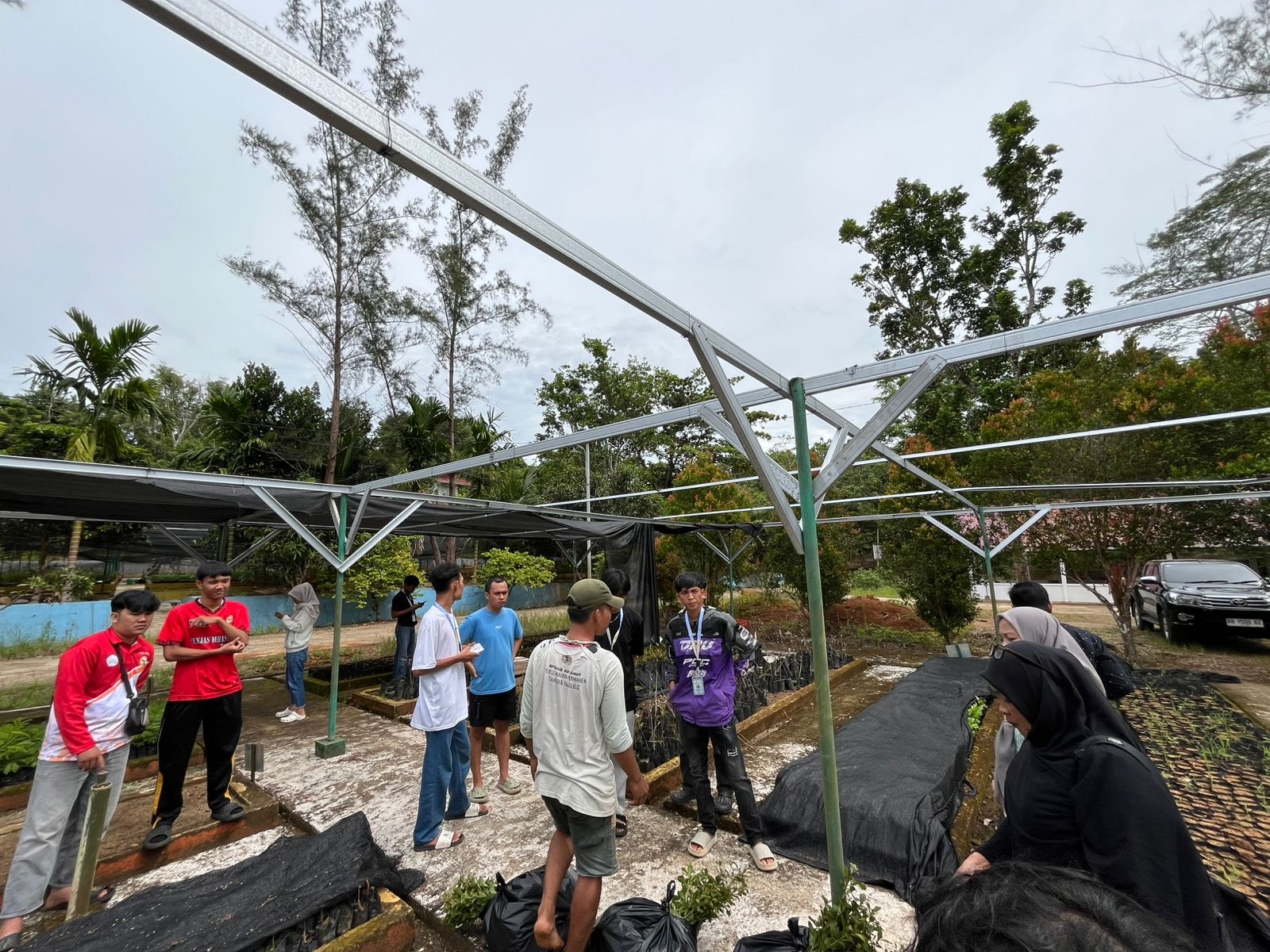 pengambilan bibit gabungan di hutan rajo lelo bengkulu tengah