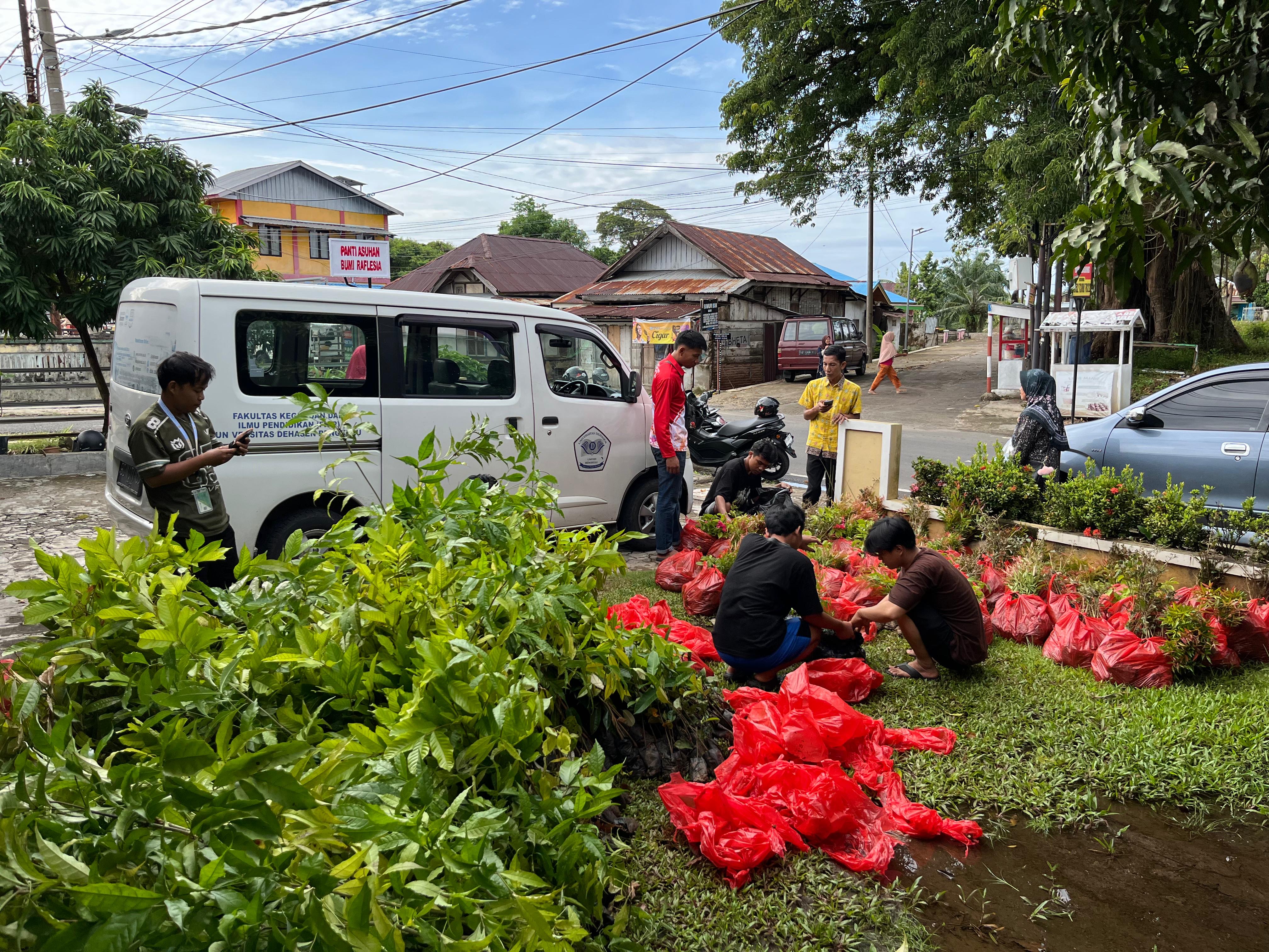 pengambilan sisa bibit 110,Di brendo anggut bawah.