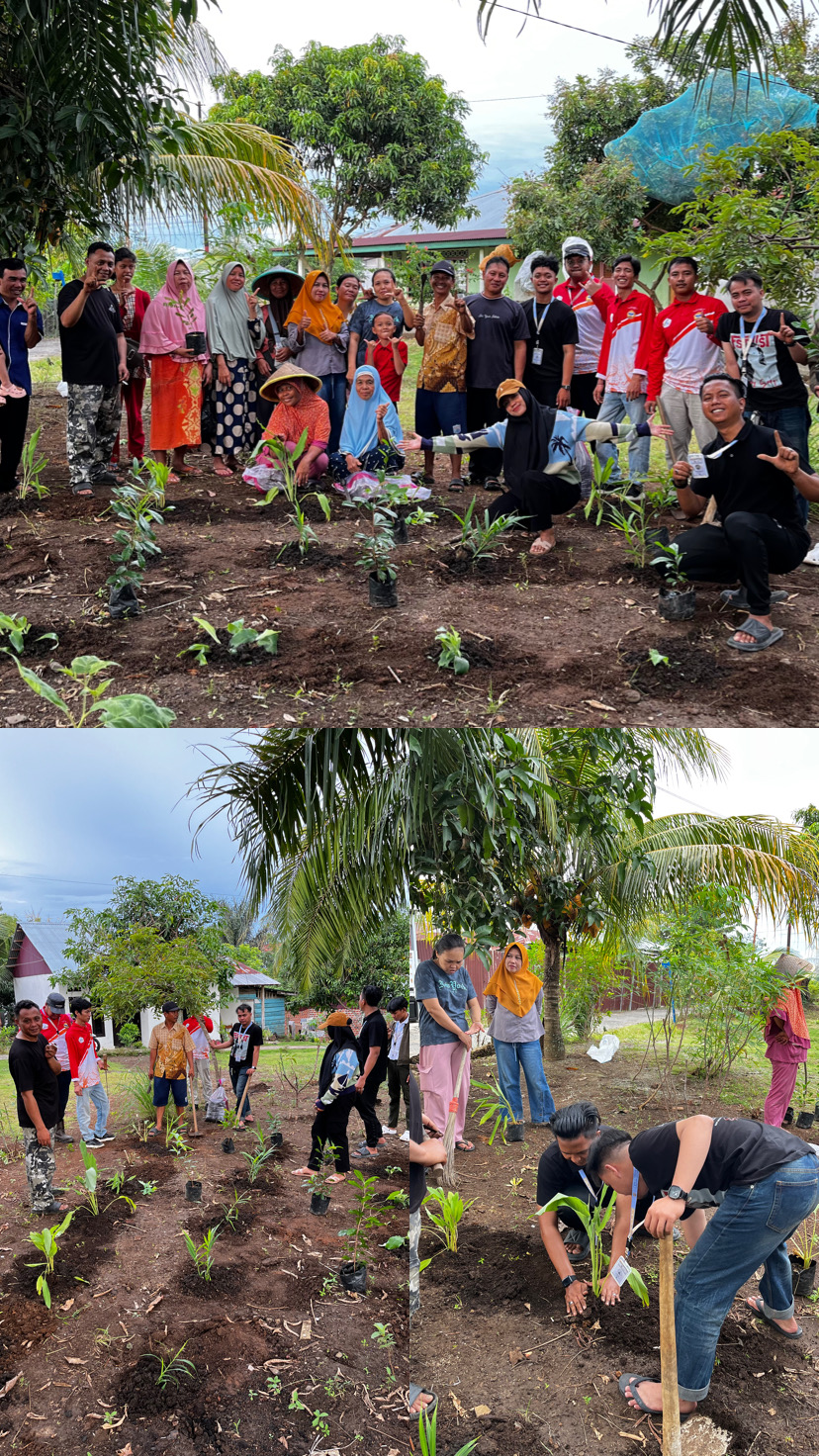 Tahap awal penanaman bibit TOGA