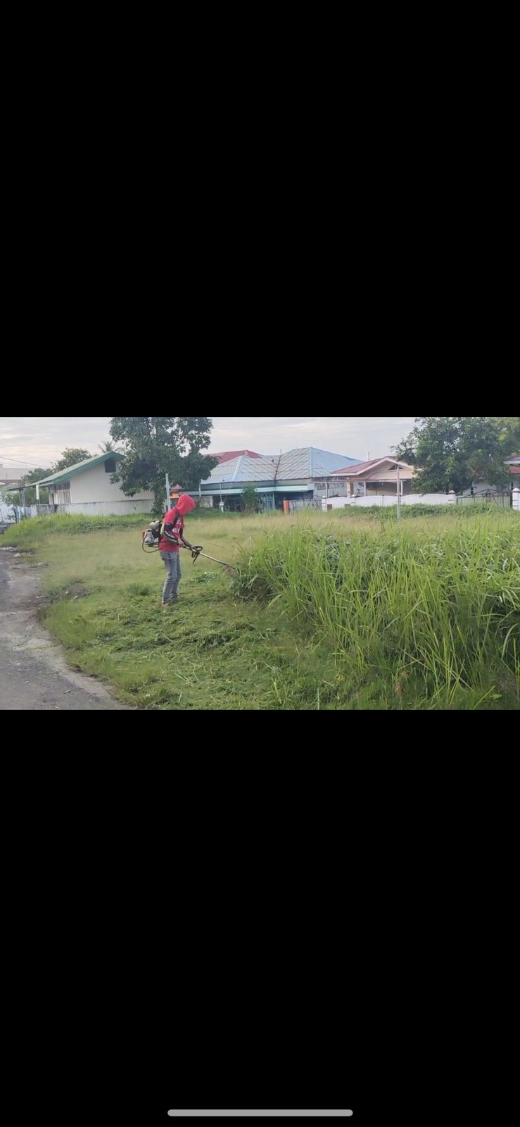 Membersihkan lapangan voli