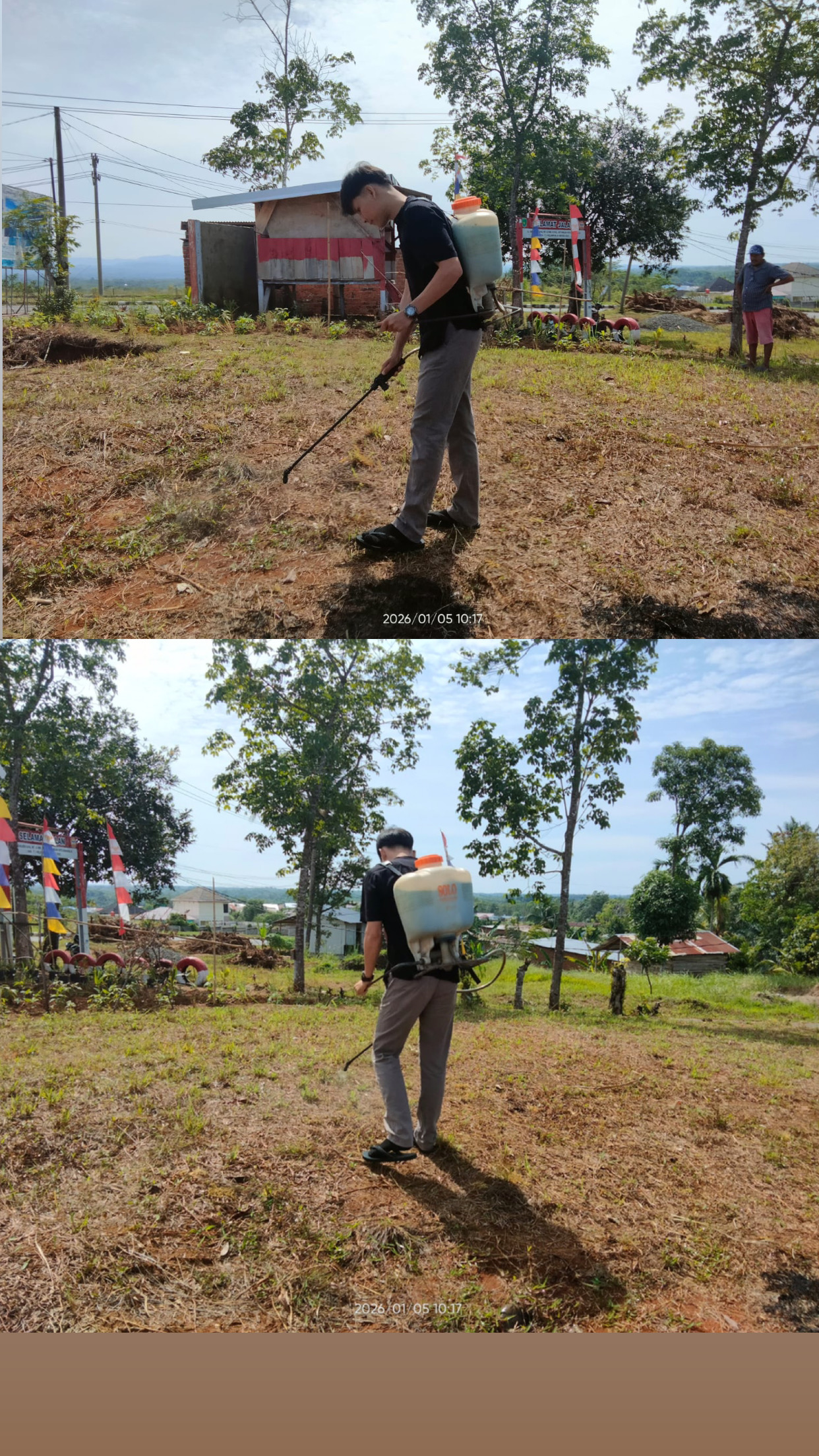 penyemprotan rumput liar dilokasi tempat penghijauan