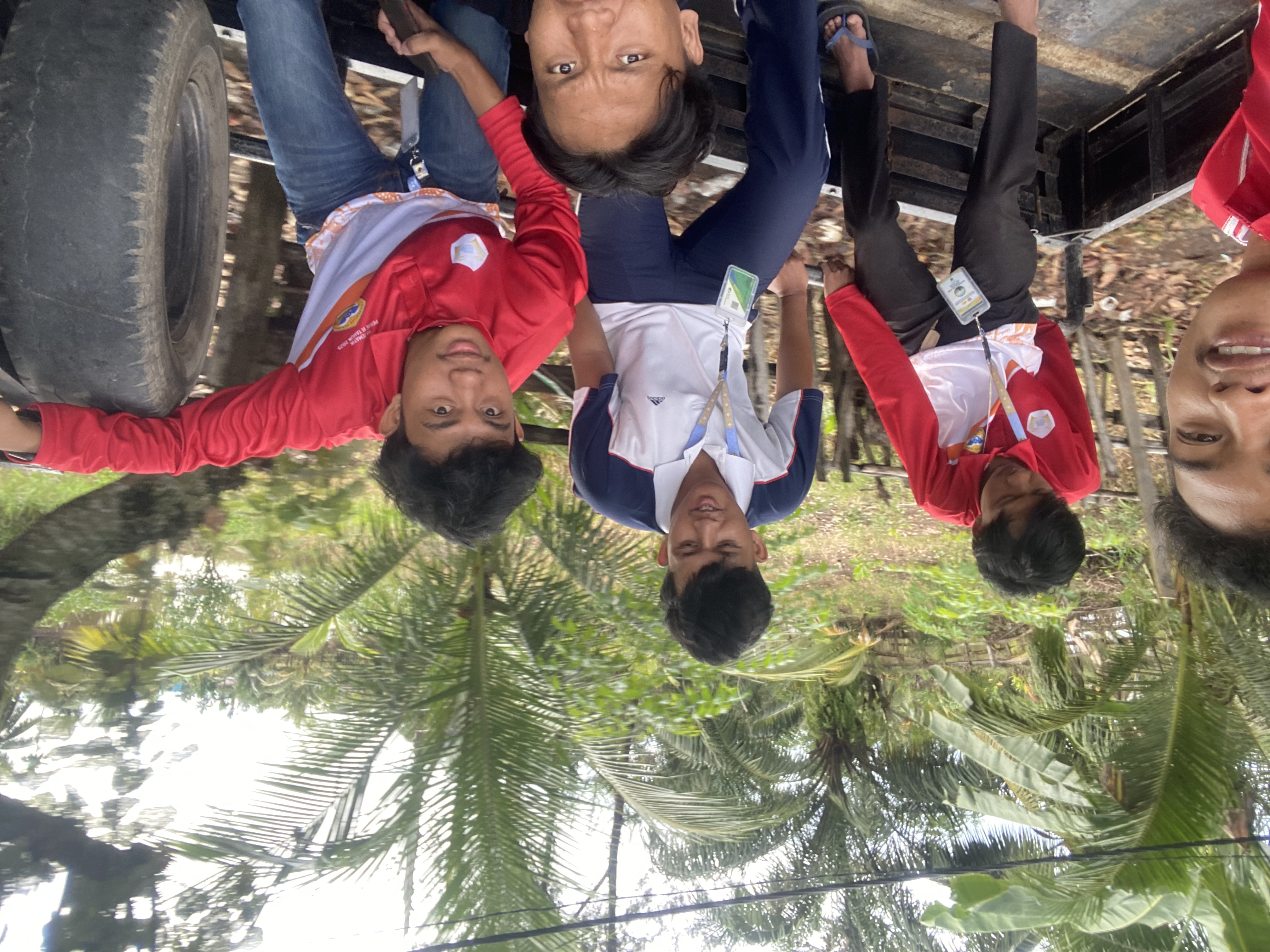 Pengambilan bibitt untuk taman di kualo