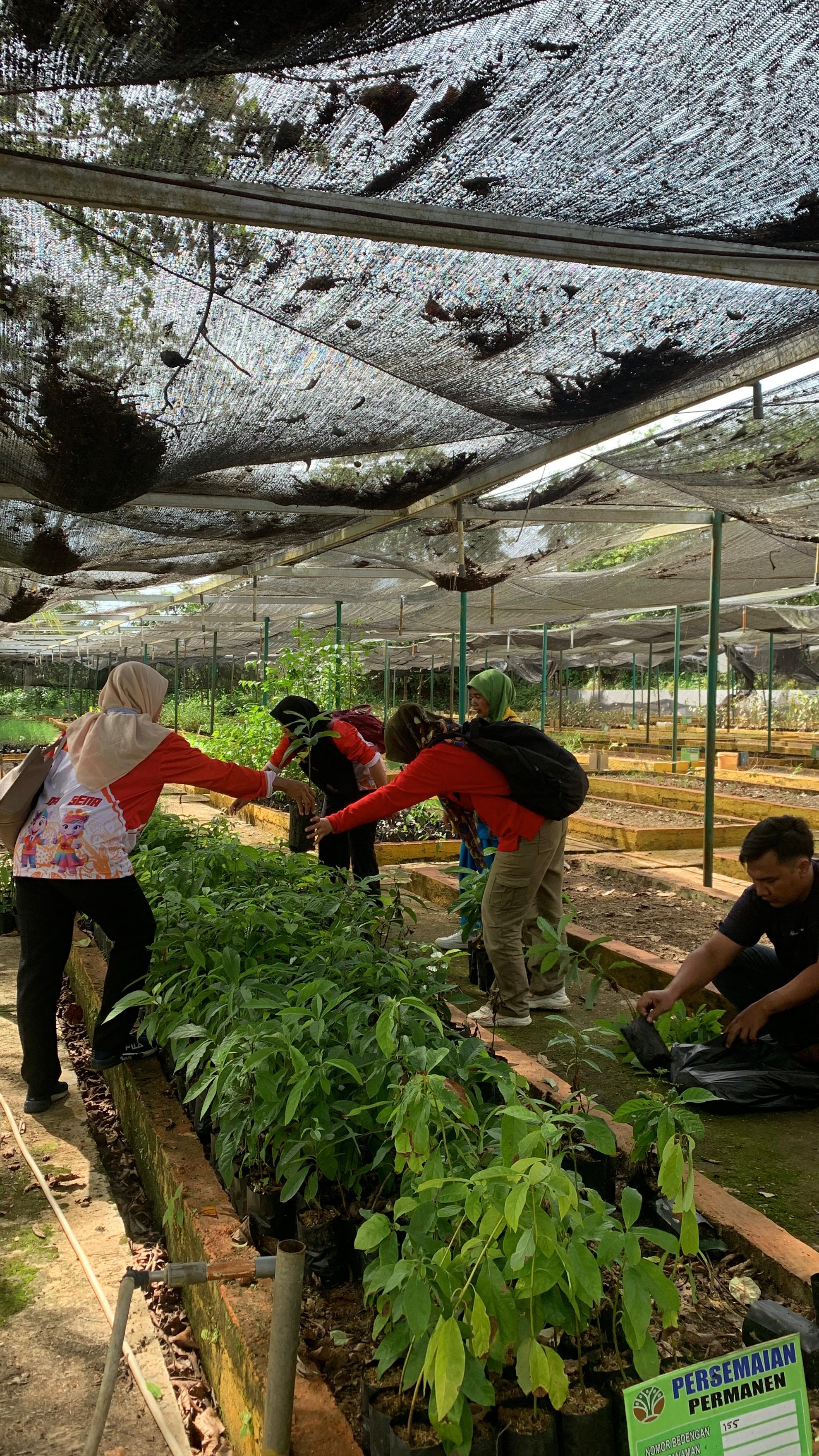 kegiatan hari ini kunjungan ke kebun bibit