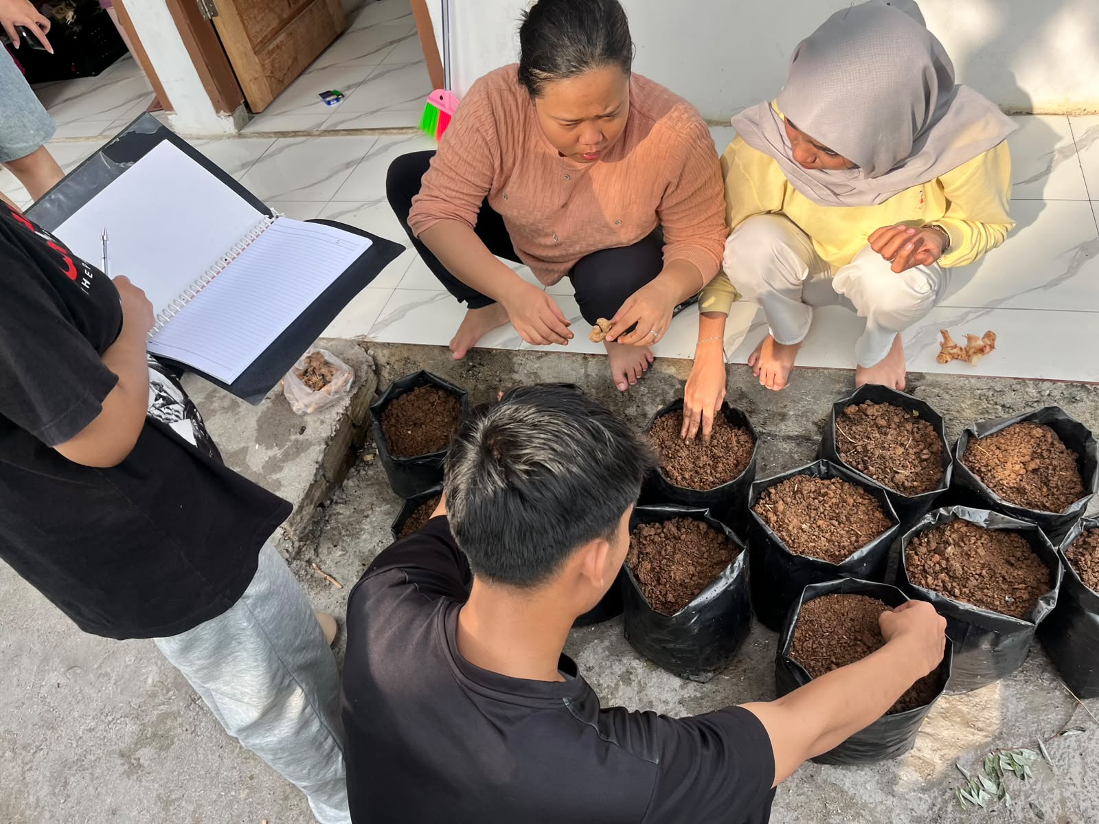 Menanam Tumbuhan Obat Keluarga (Tanaman Herbal)