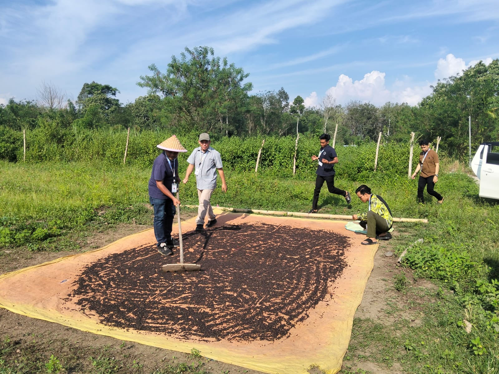 Kelompok25 ,Proses penjemuran lada hitam di desa muara betung 4l