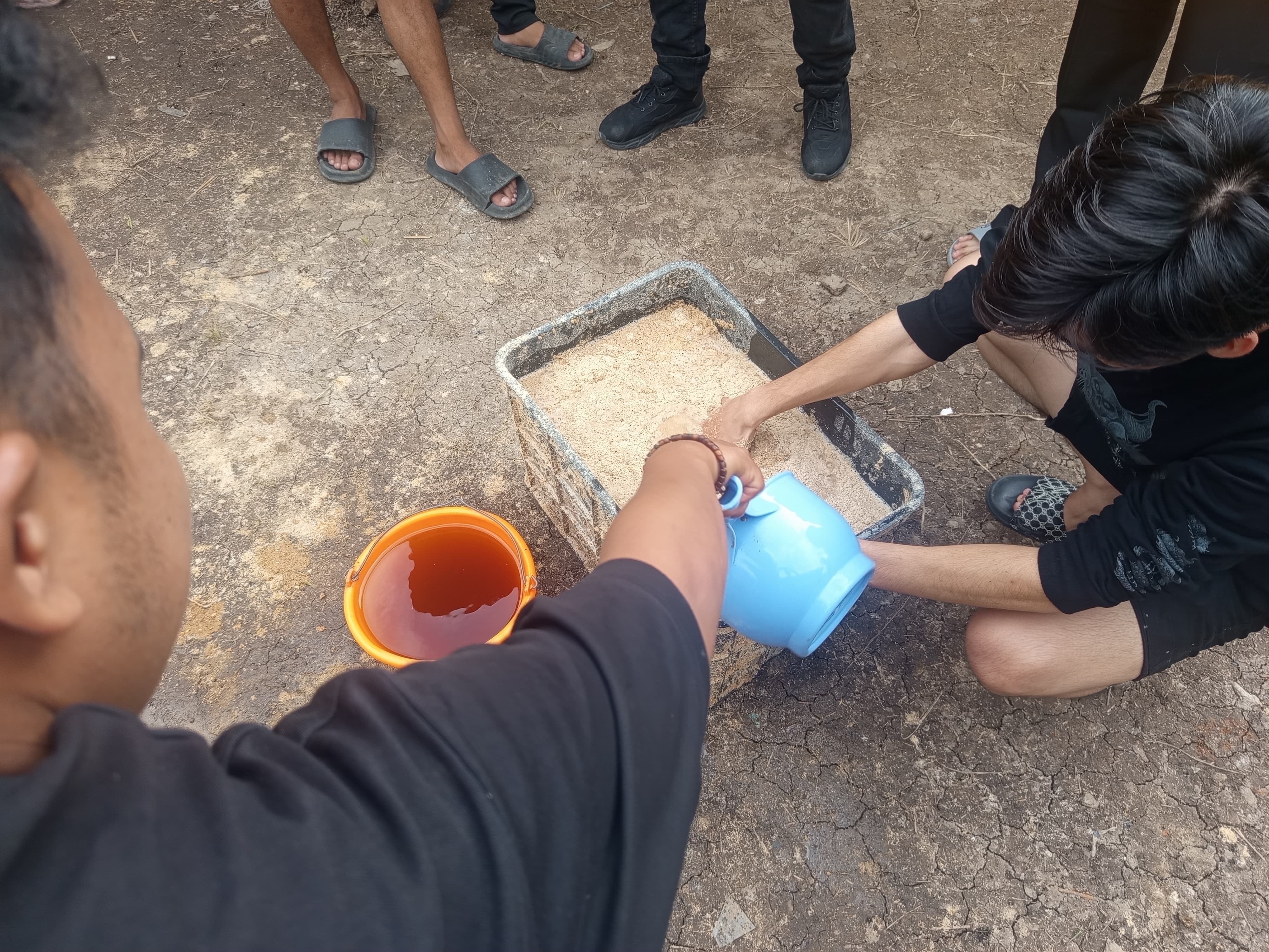 Pemberian pakan bebek 