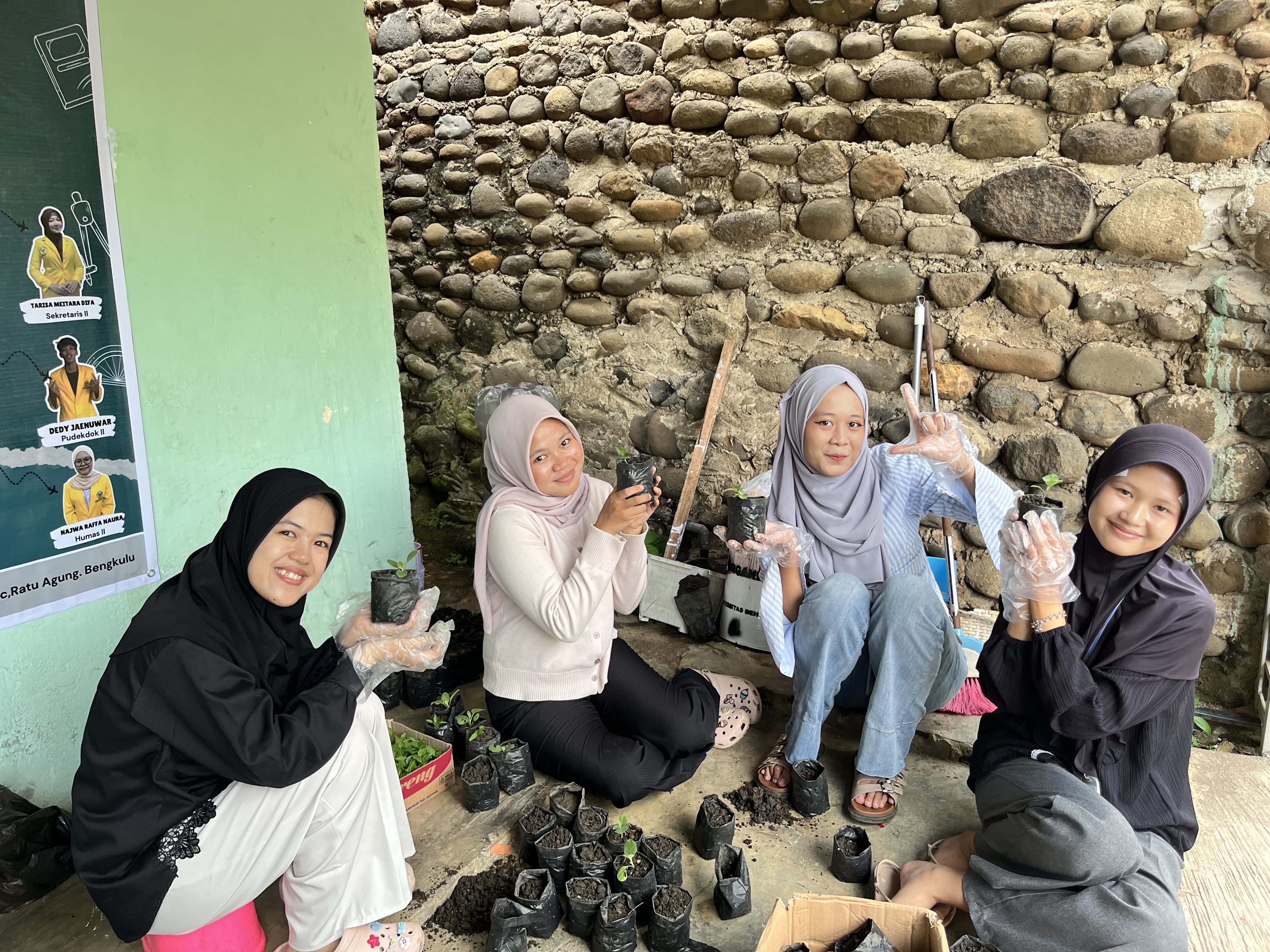 Pemindahan Bibit Cabai dan Terong ke Polibag