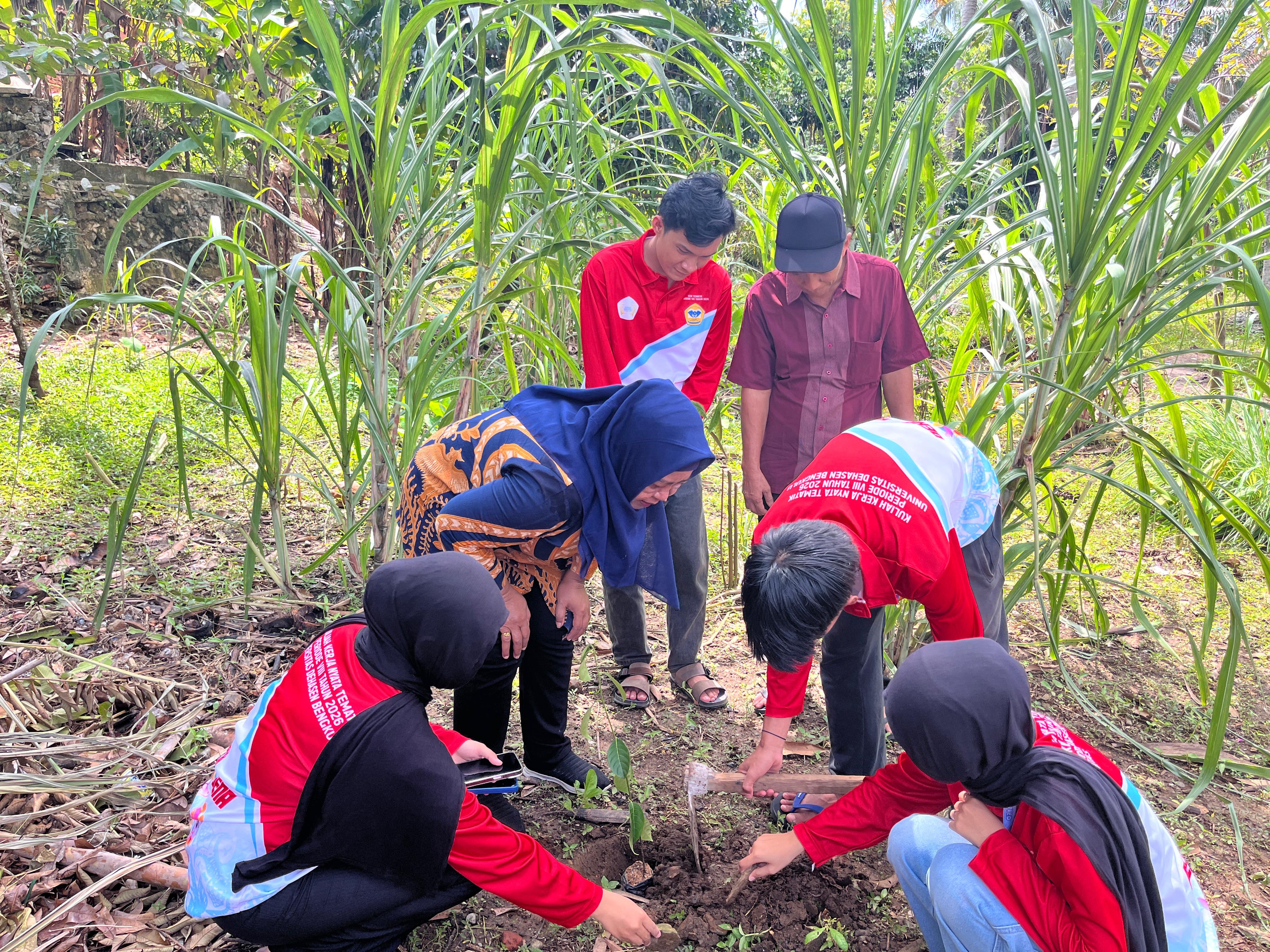Penanaman Bibit Kelompok 9 KKN bersama RT 07 dan DPL