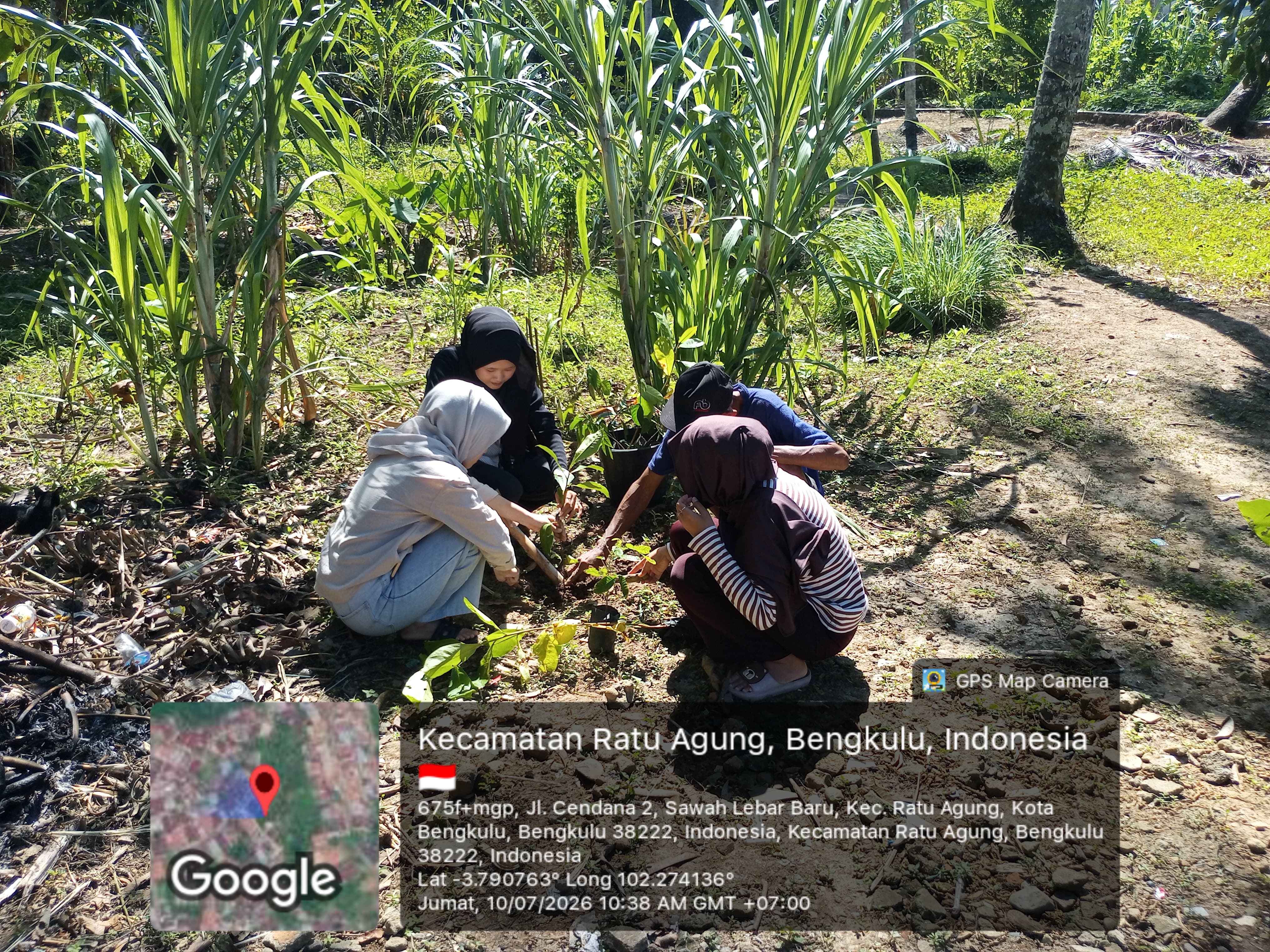 Penanaman Bibit Tanaman bersama ama Warga RT 07 oleh KKN Kelompok 9