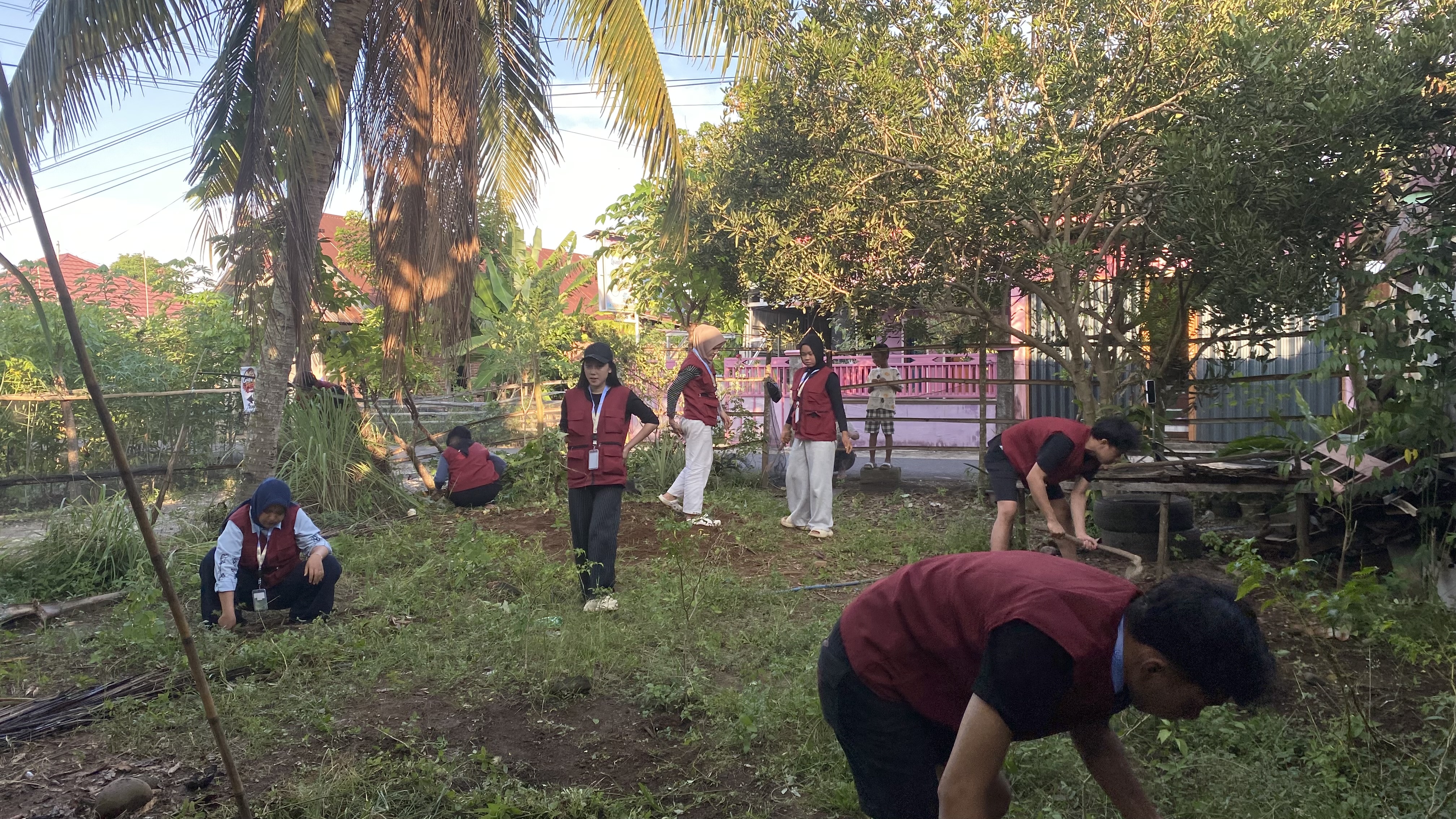 KEBERSIHAN LAHAN APOTEK HIDUP 