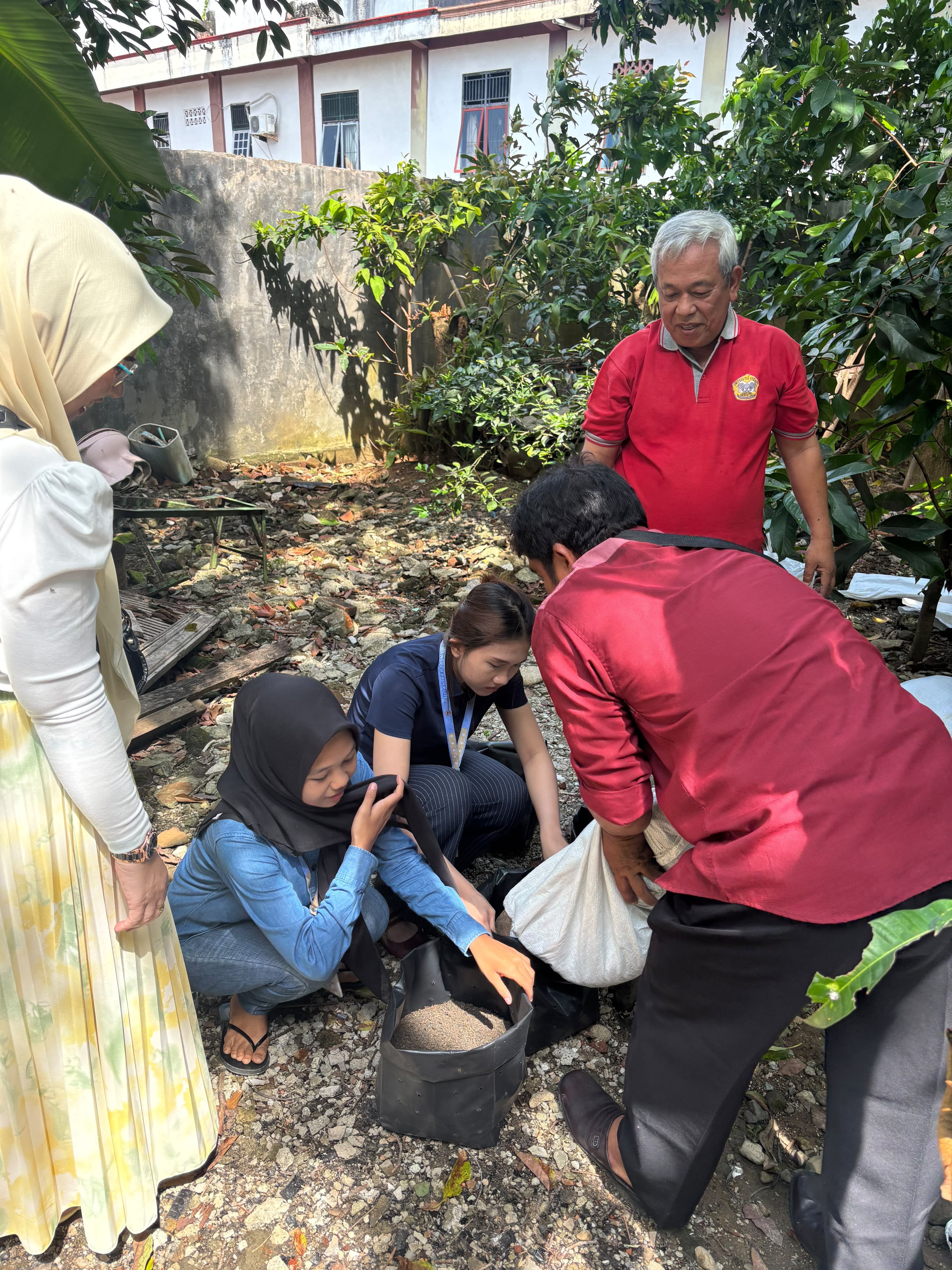 Penanaman bibit kelapa