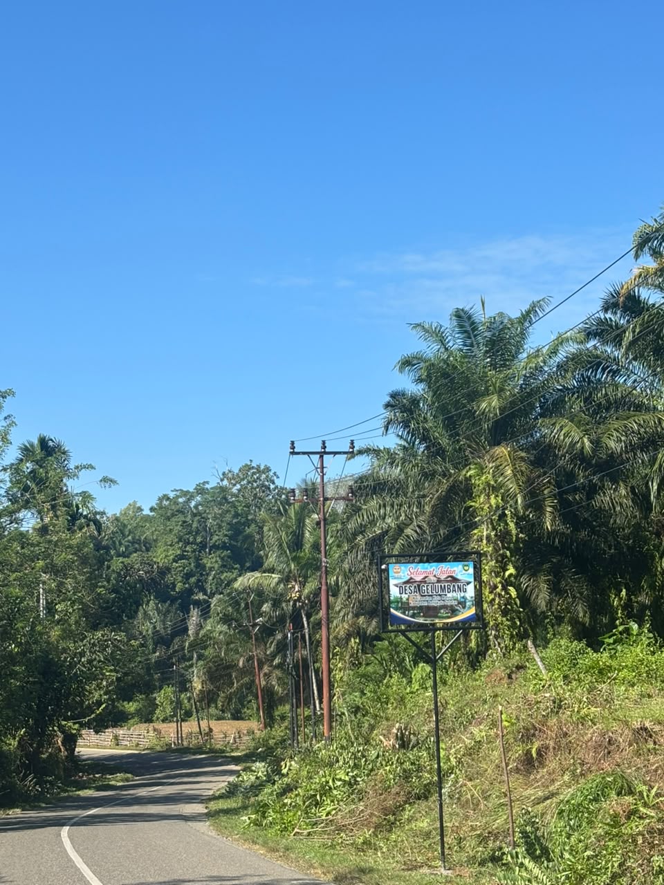 Memantau hasil pemasangan plang pembatas desa Gelumbang
