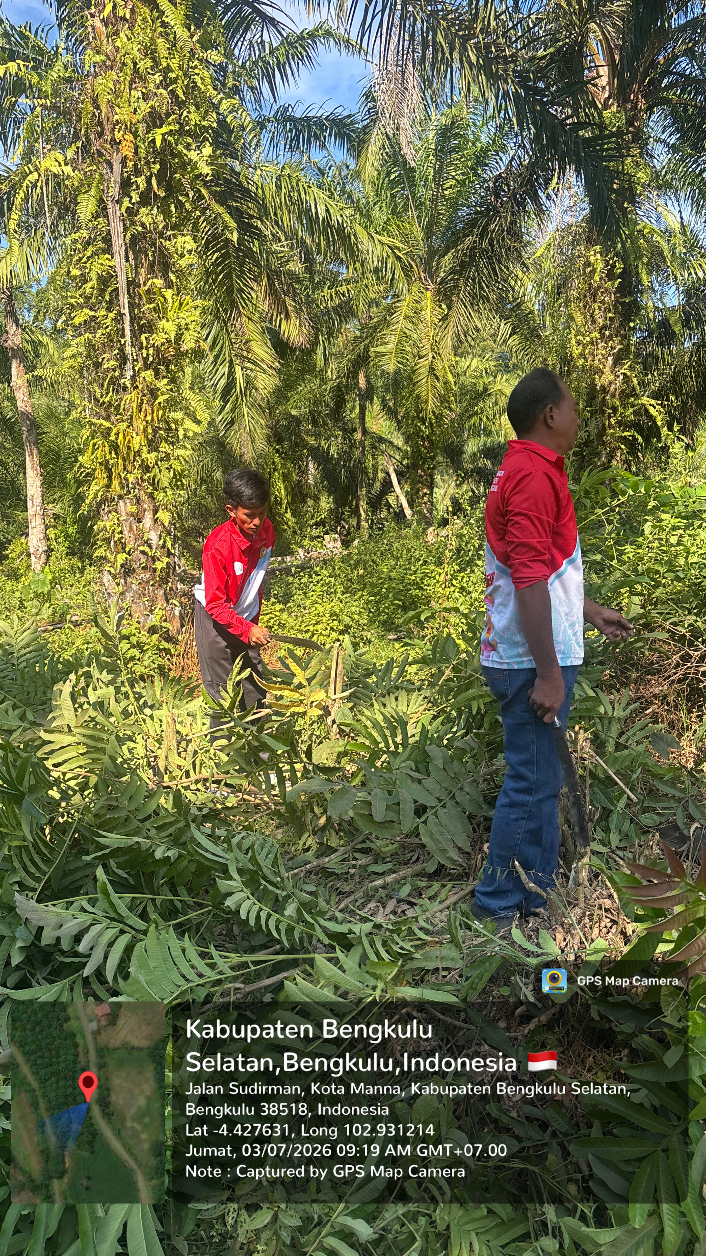 Proses pembersihan dari Gulma